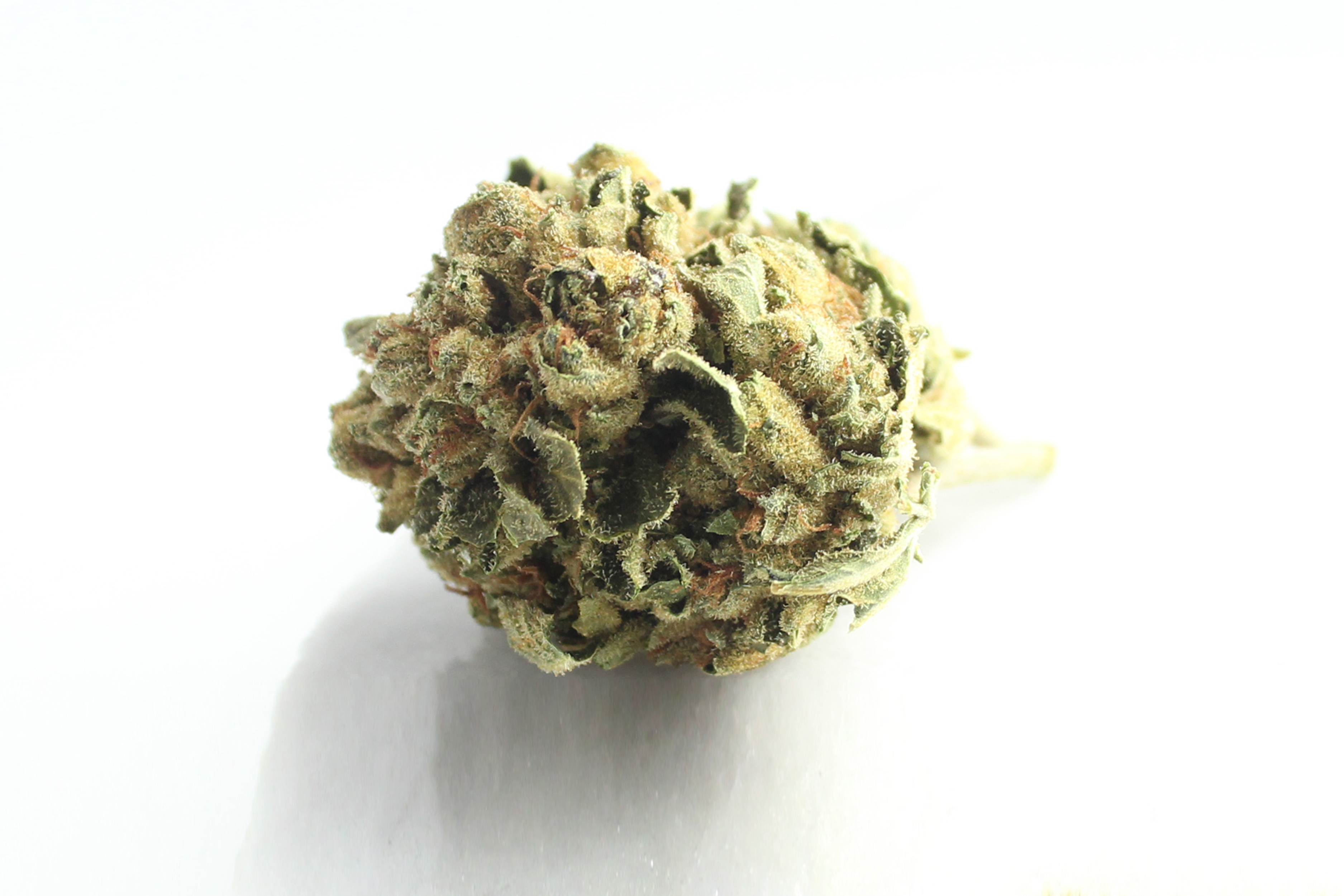 Cannabis Flos Weeco 23/1: Frosted Lemon Angel