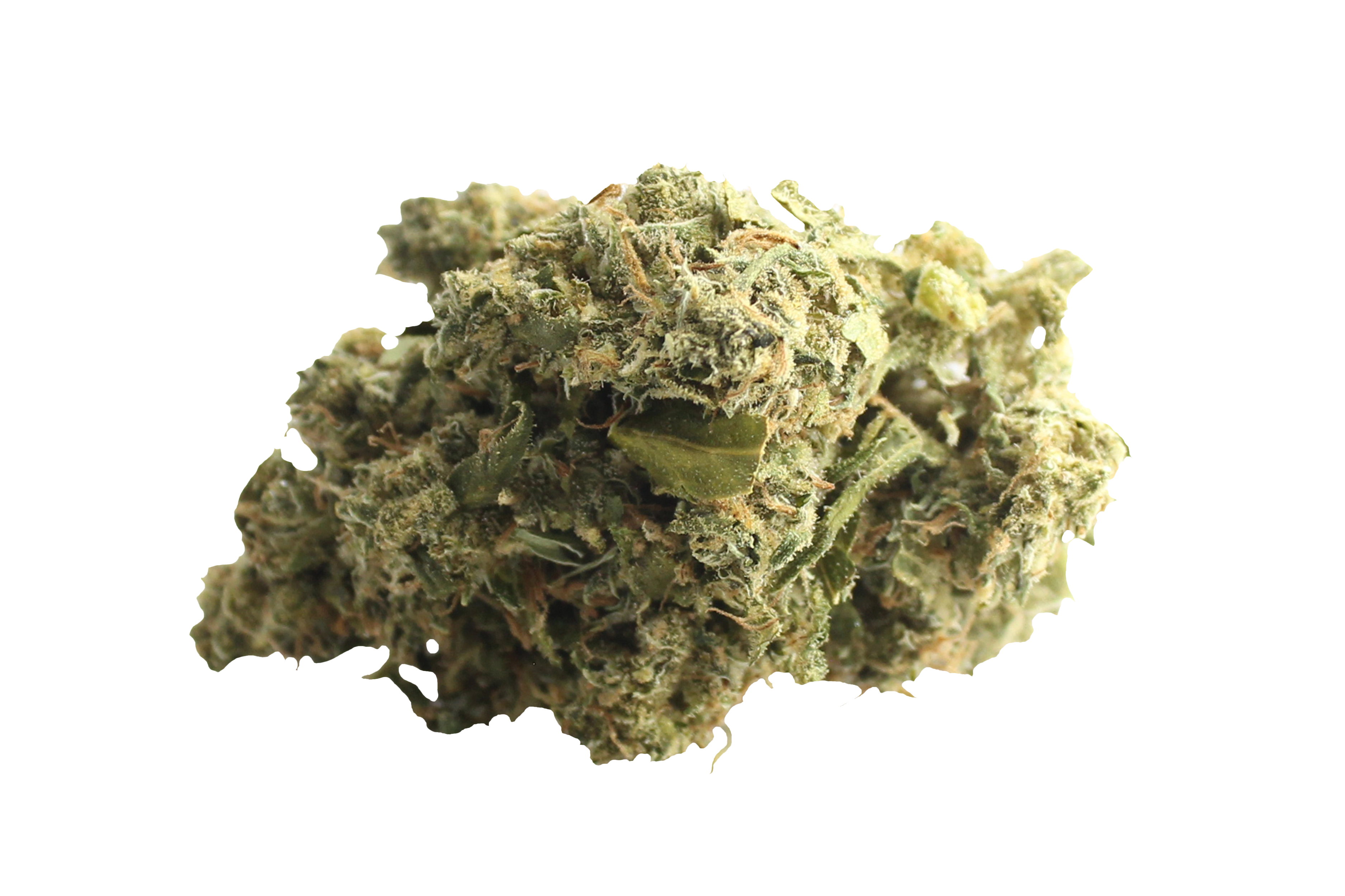 Bedrocan Afina Cannabisbluete