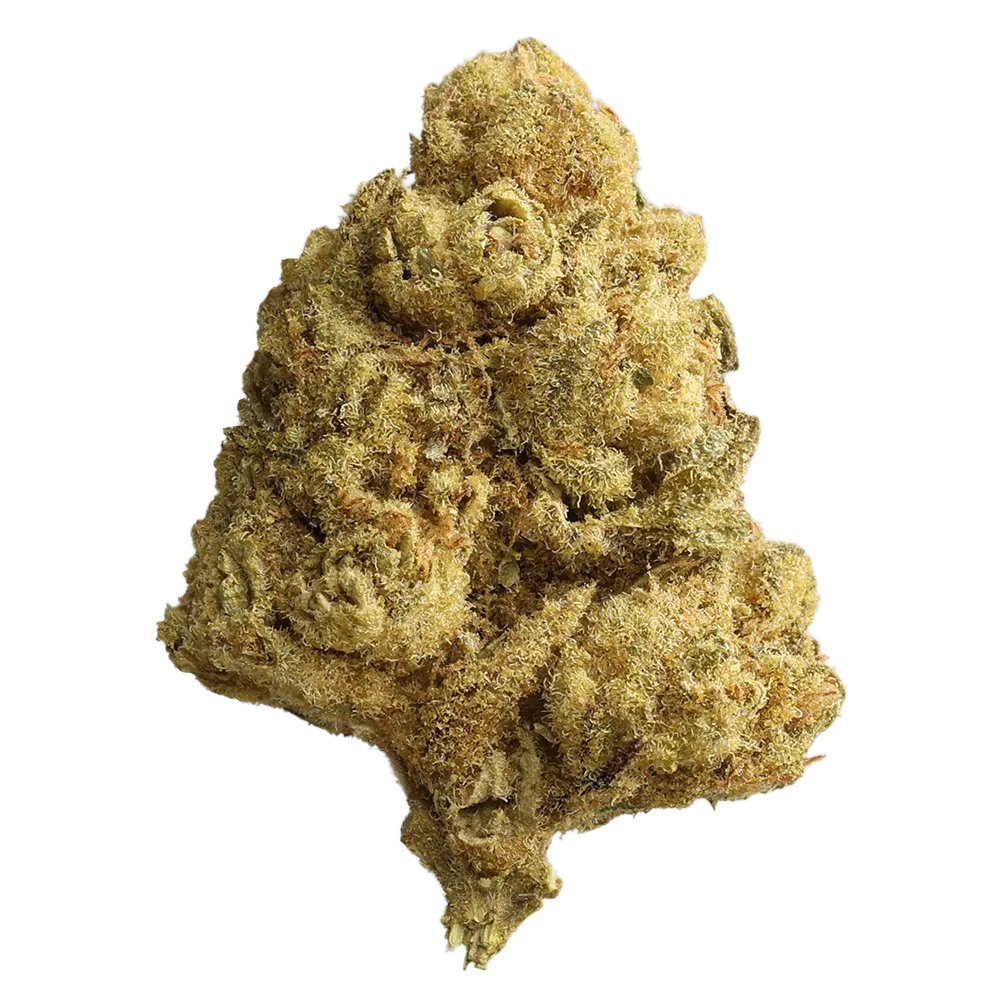 Cannabis flos 25/1 LS Ku. Platinum Punch