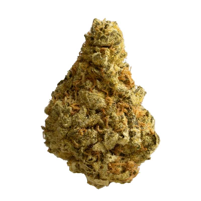 Cannamedical Indica Forte: El Jefe