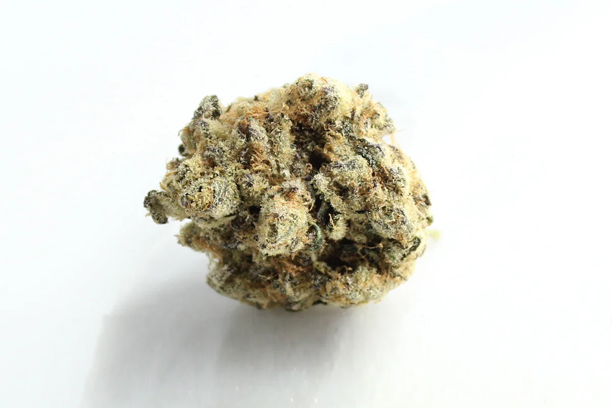 Remexian 27/1 GRG Grape Galena