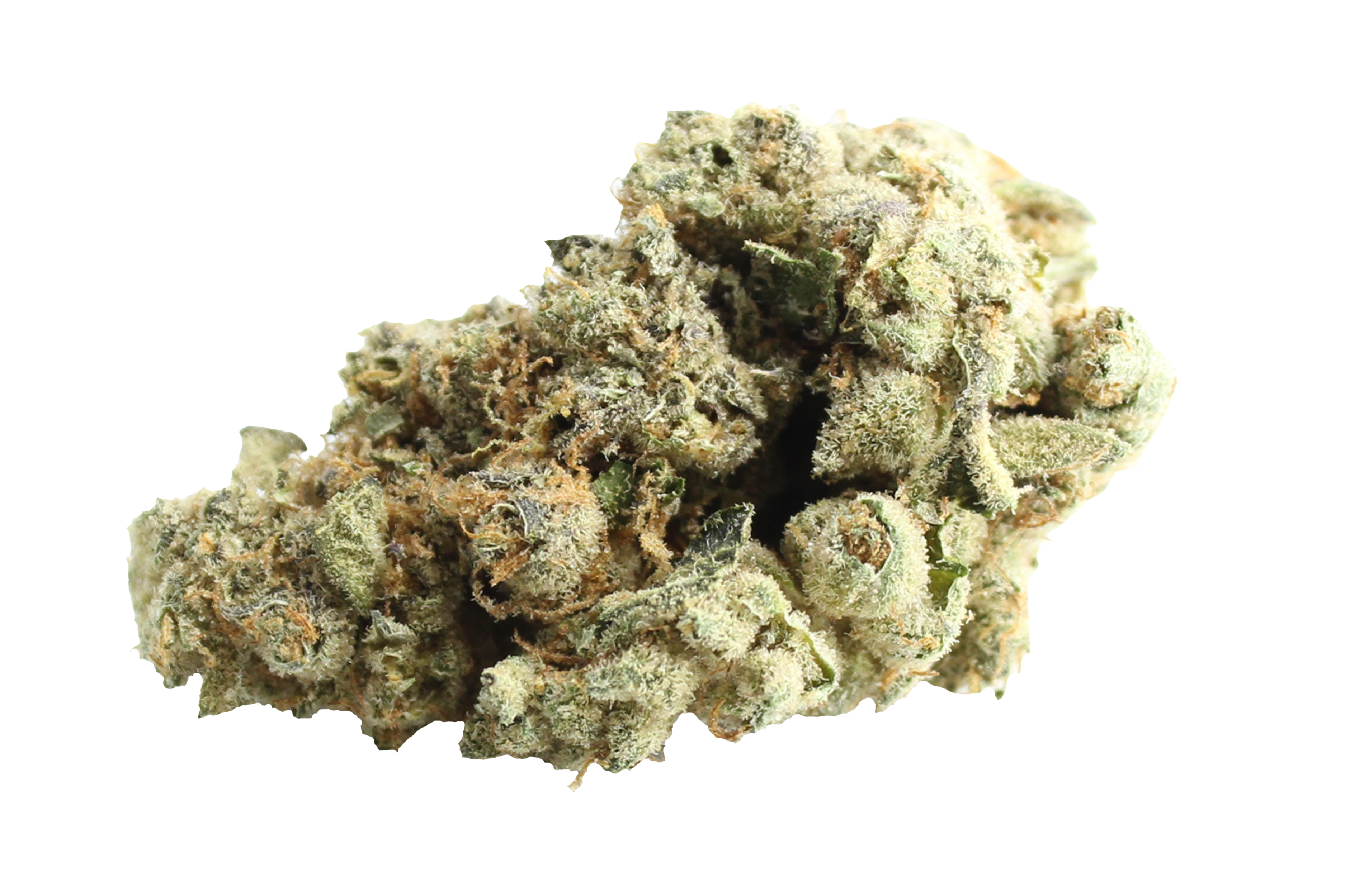 Enua 27/1 GMO CA Kokos Cookies Cannabisbluete