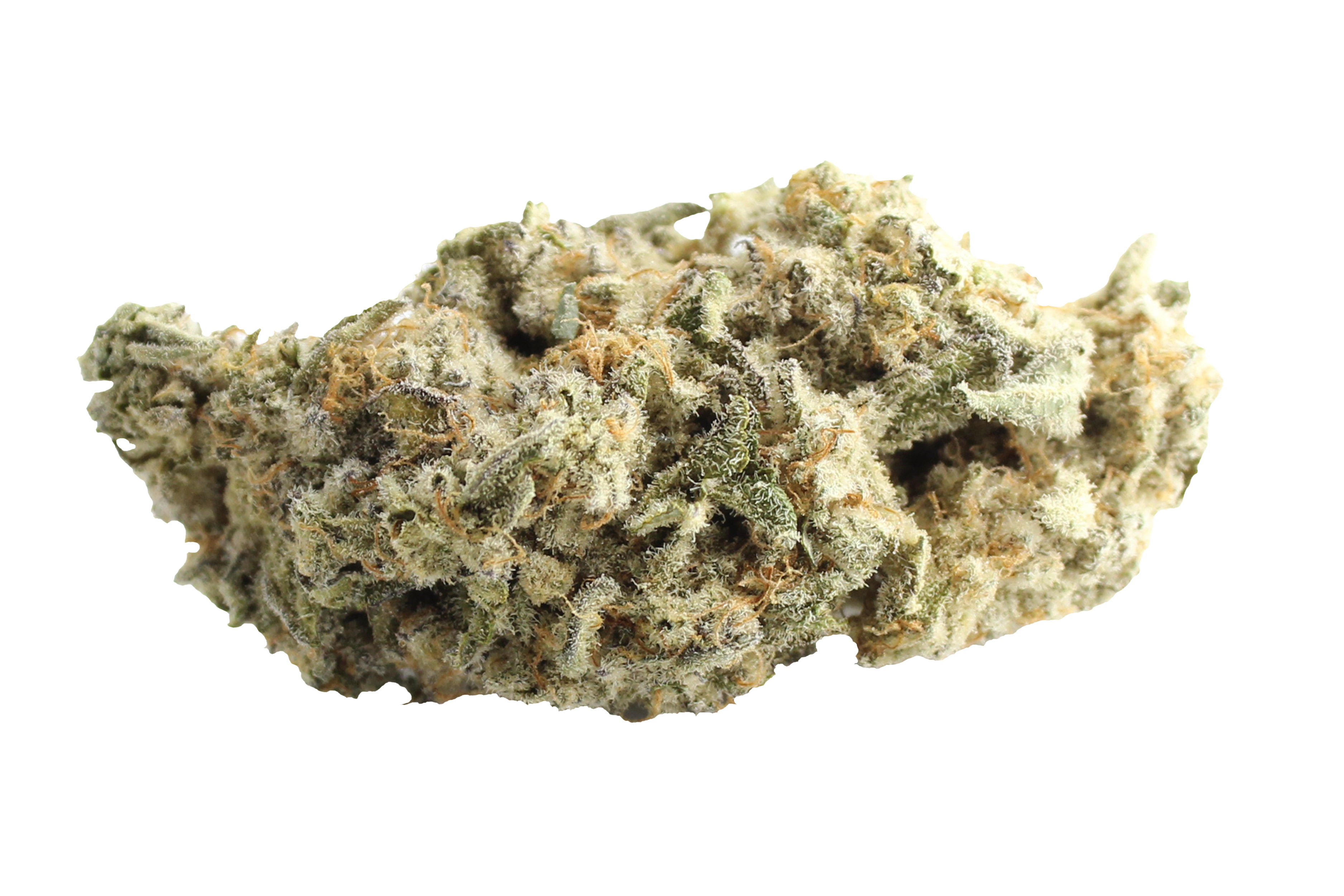 Four20Pharma 420 Evolution 22/1 CA MAC Mac1 Cannabisbluete