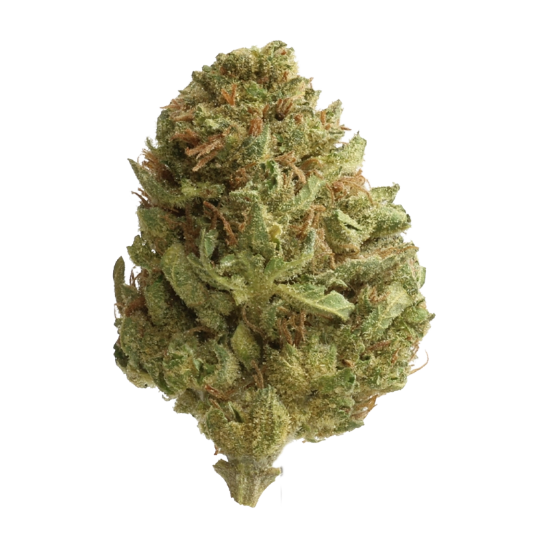 Luana 18/1 Varin: Dougs Varin