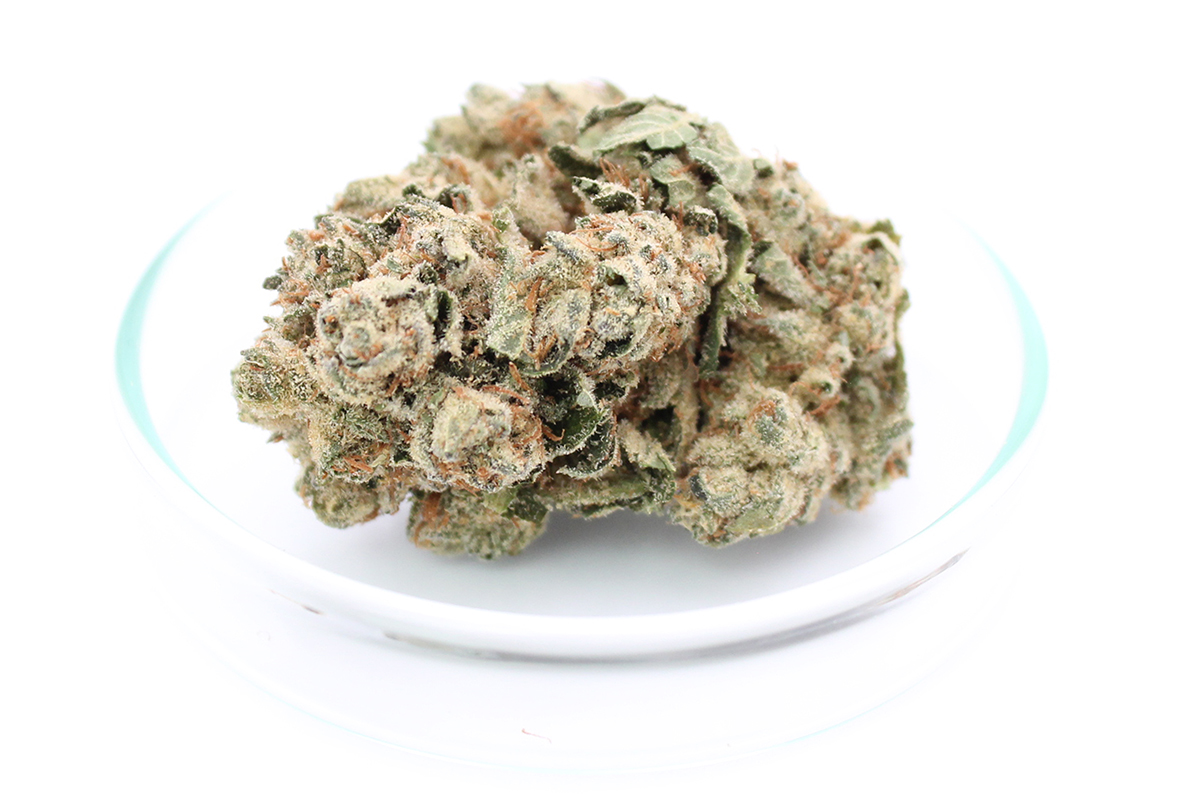 enua 20/1 JFG CA: Jet Fuel Gelato