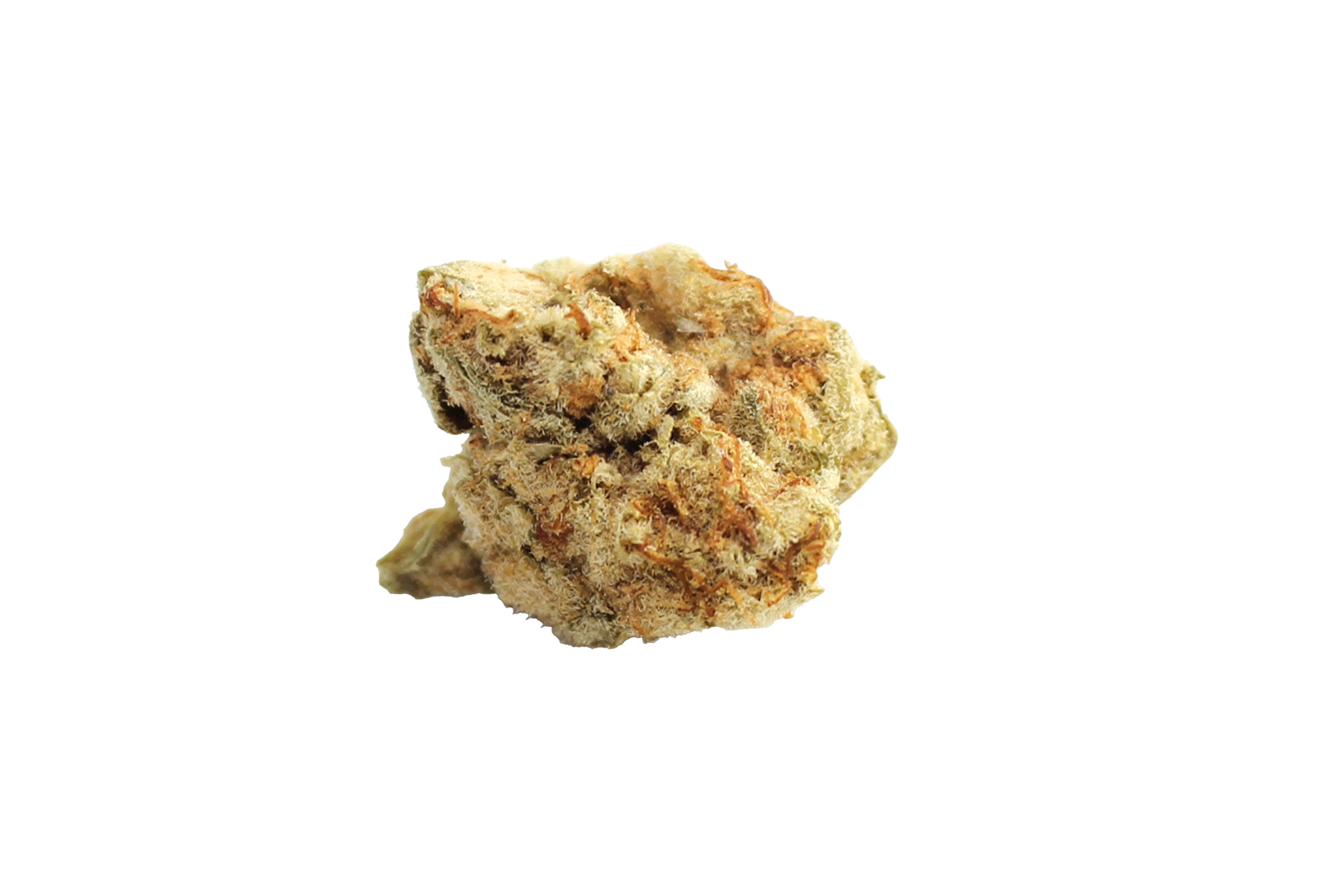 Canify Cannabis flos 23/1 PRT Ku Black Cherry Pie Canify Cannabisbluete
