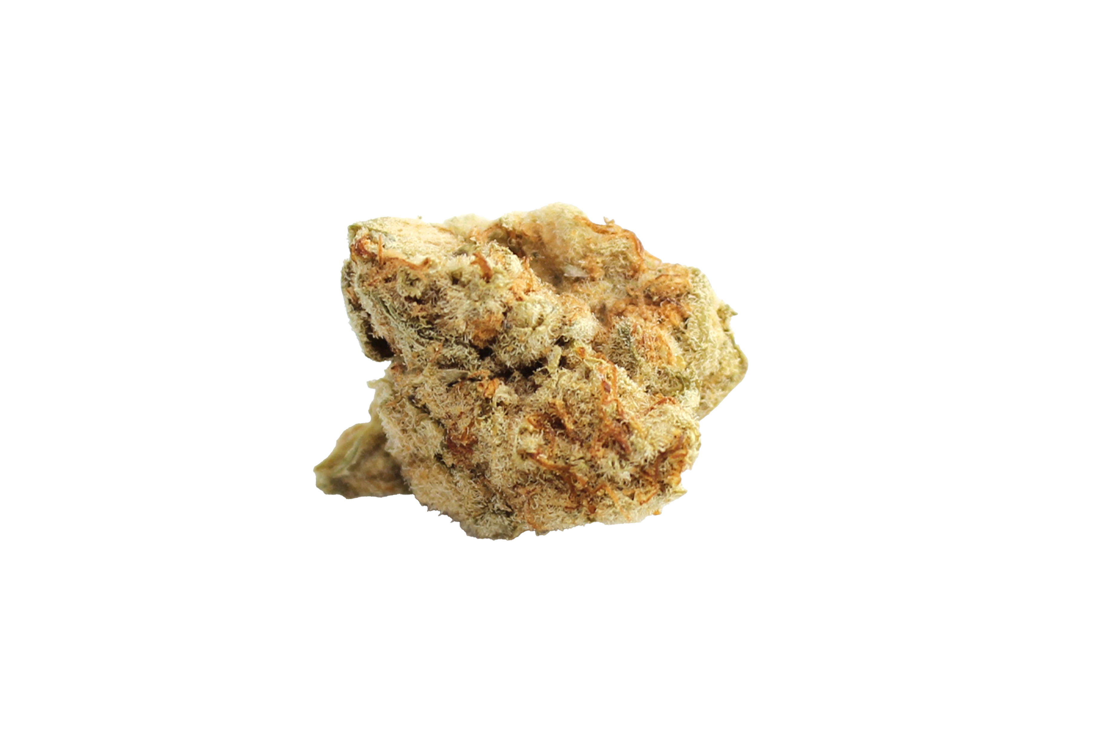 Canify Cannabis flos 23/1 PRT Ku Black Cherry Pie Canify Cannabisbluete