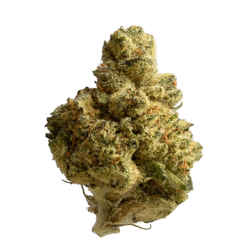 Luana 23/1 Donny B: Bunatic