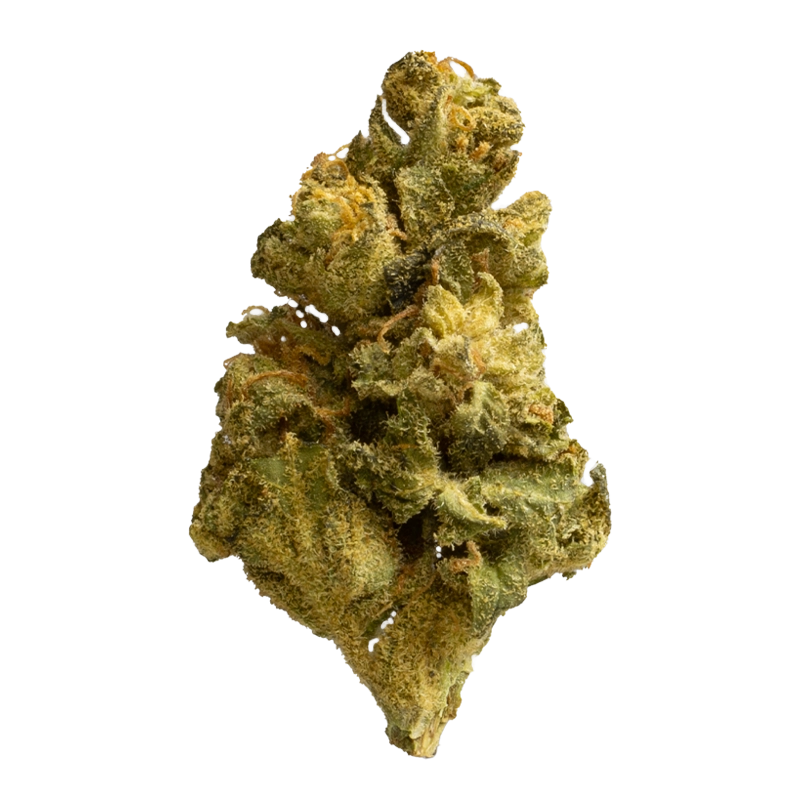 Materia AND 18/1: Andes