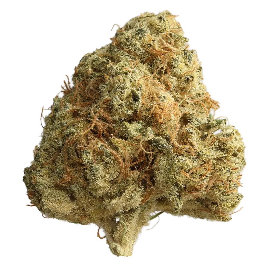 Cannabis flos 24/1 CZE Ku. Platinum Garlic