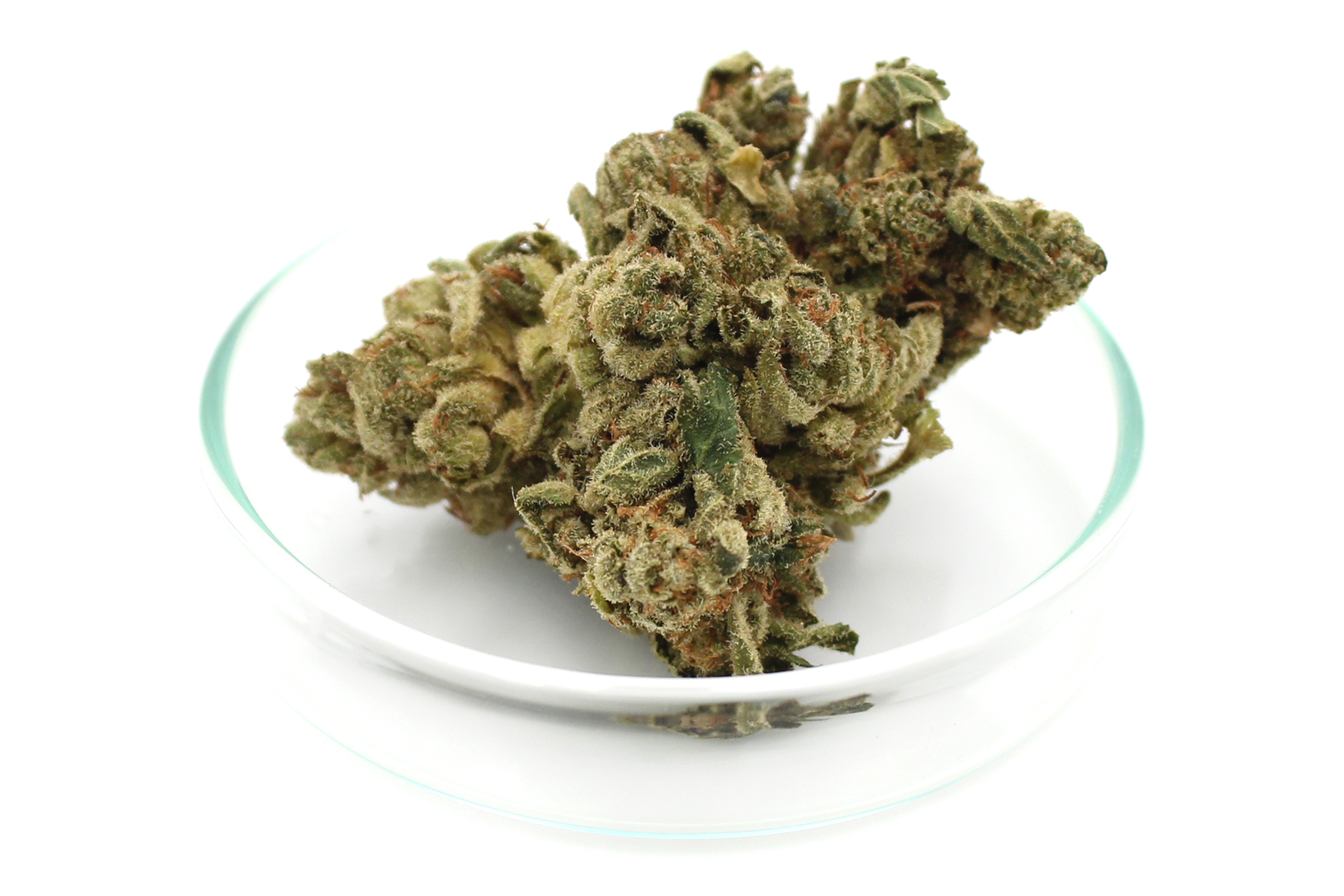 420 Sungrown 18/1 CA DOG: Chemdog