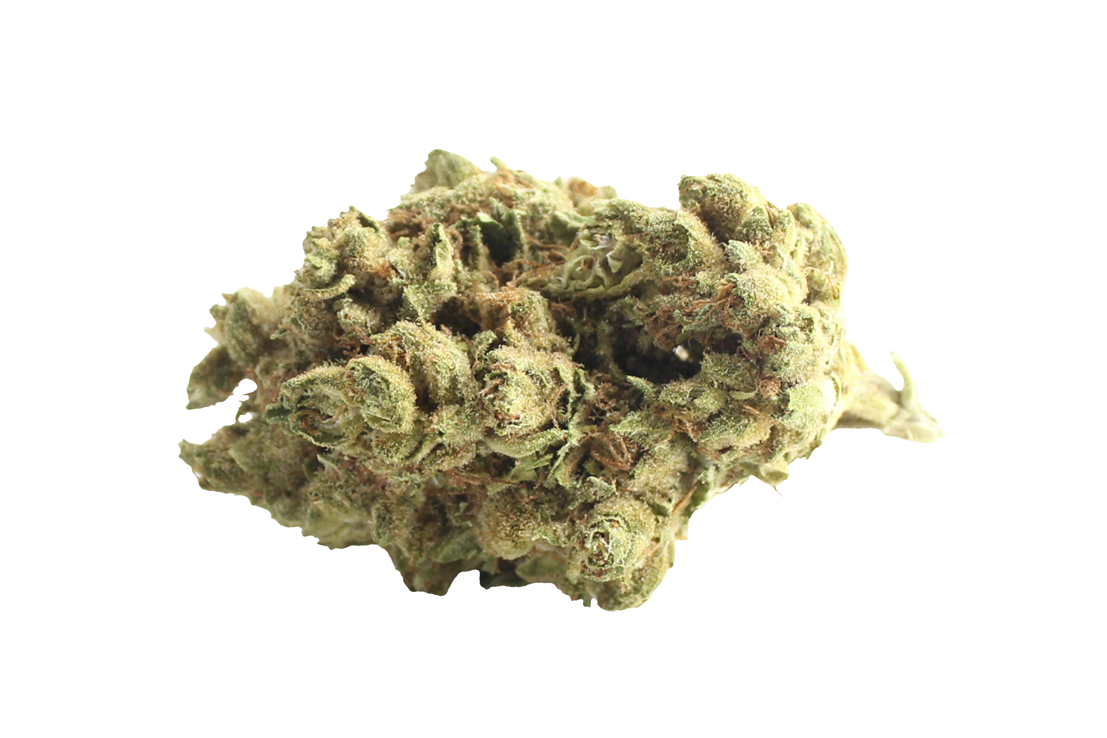 Remexian 24/1 LET Lemon Thrill Cannabisbluete