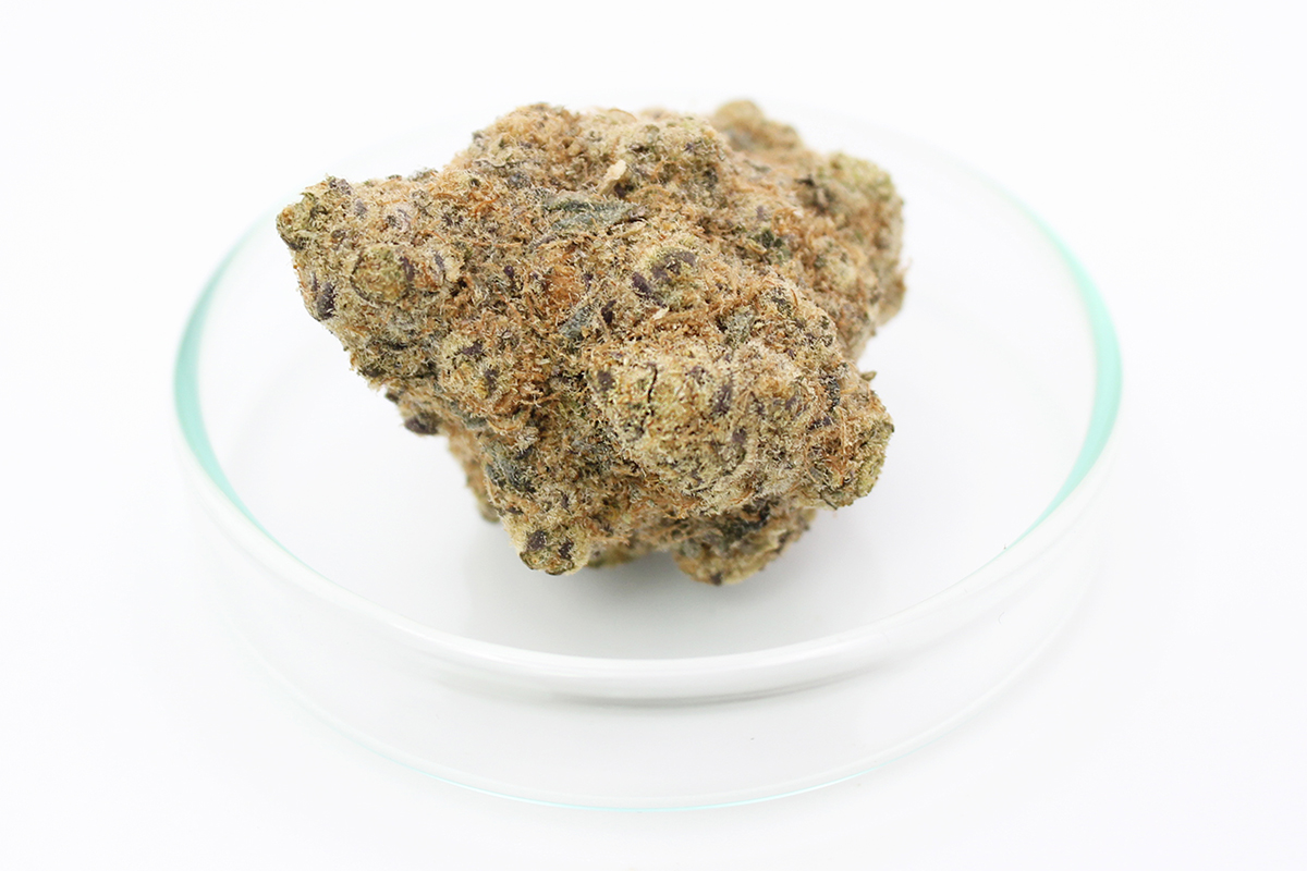 Soma OG 30/1 FG: Ghost OG