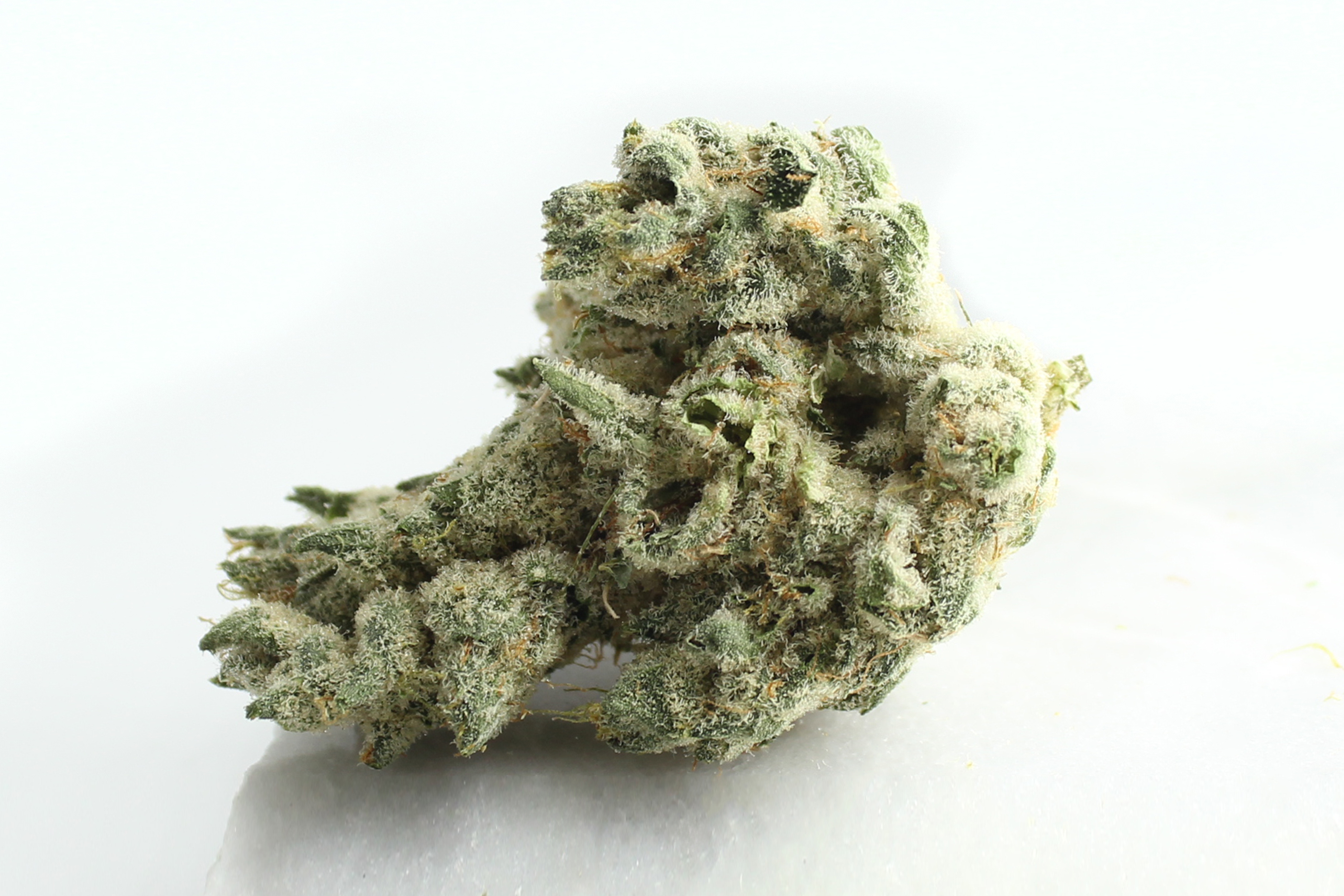 420 Evolution 30/1 CA PCH: Peach Chementine