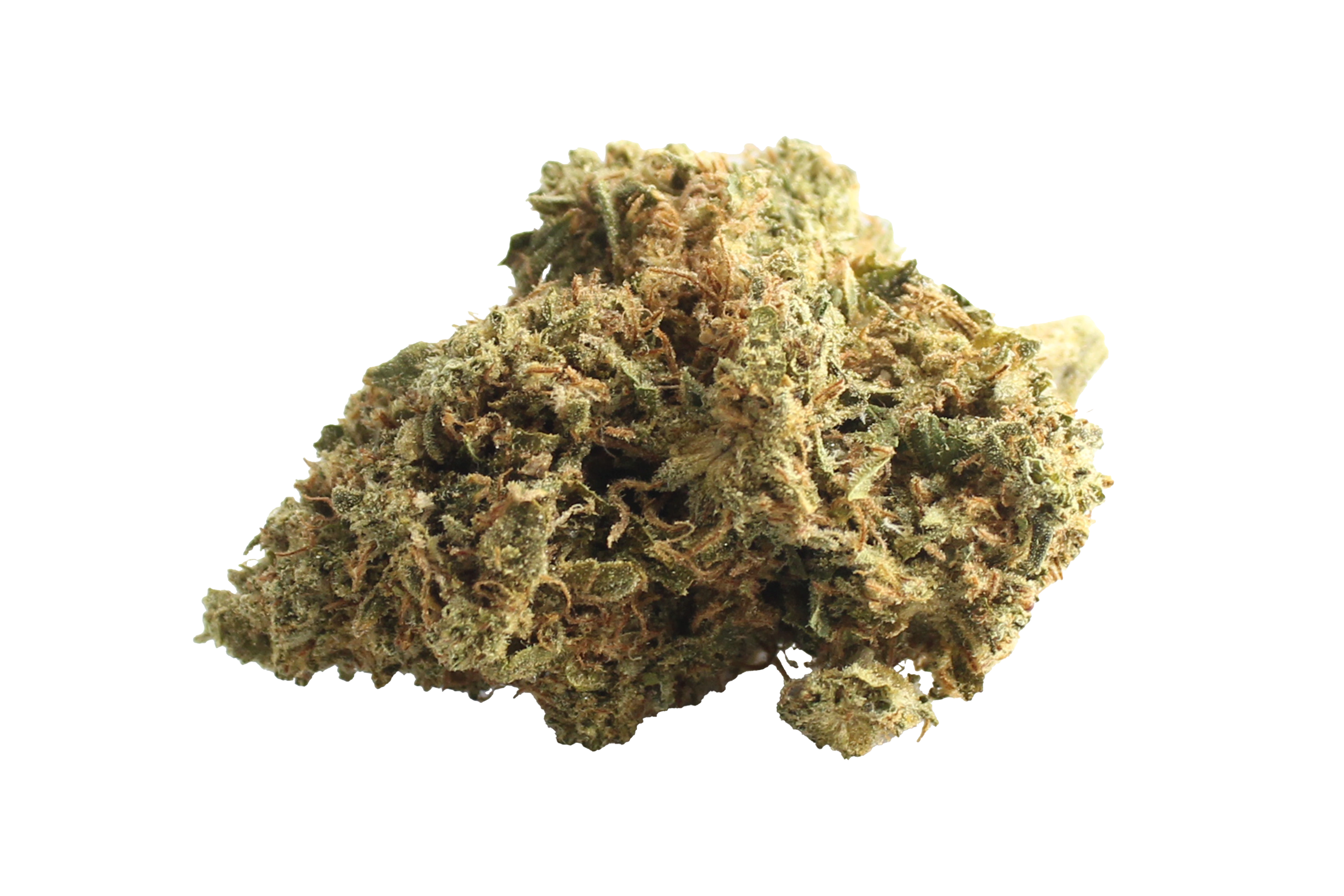 Vayamed 22/1 Vayamed Cannabis flos Ghost Train Haze Cannabisbluete