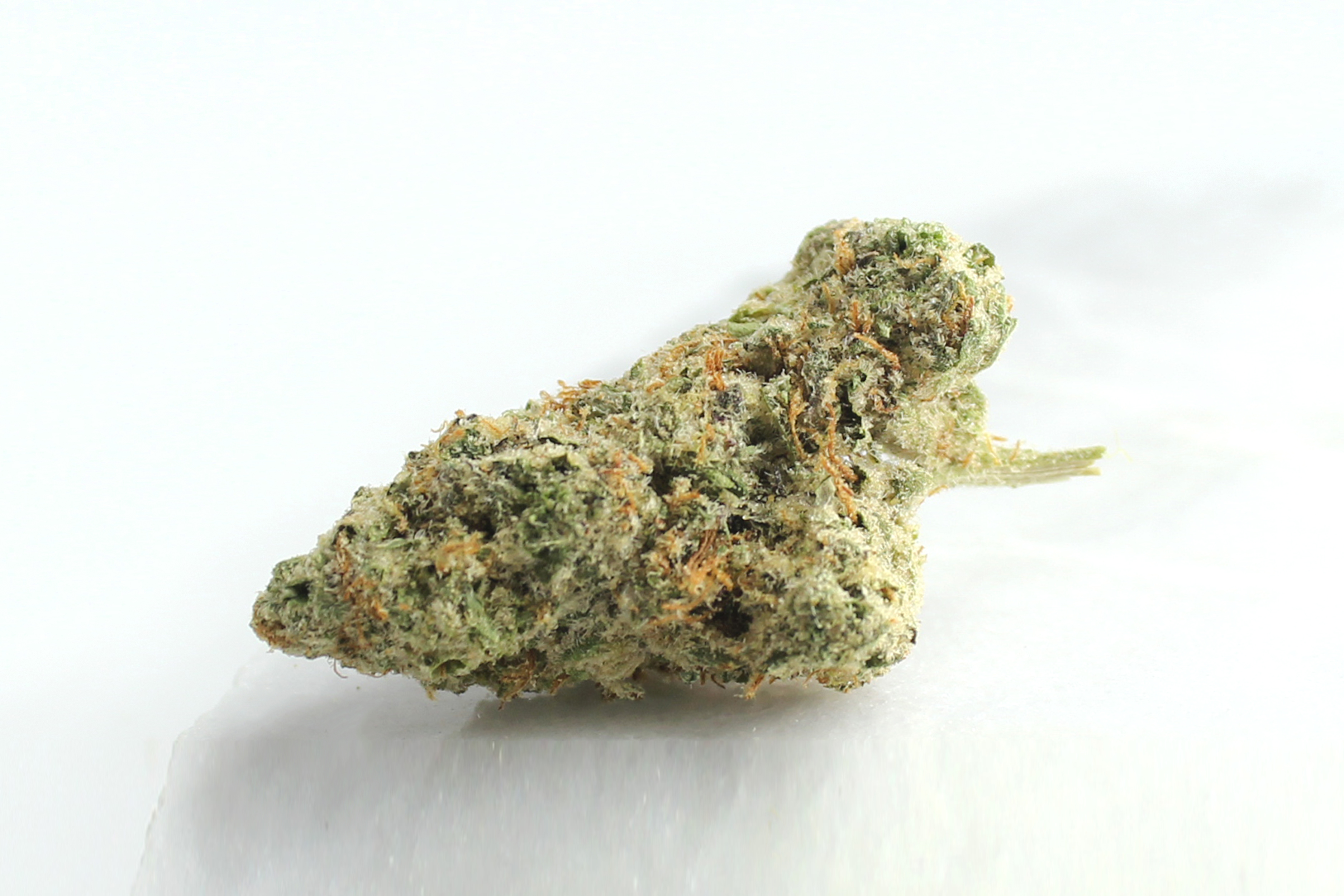 420 Evolution 30/1 CA ICC: Ice Cream Cake Kush Mints