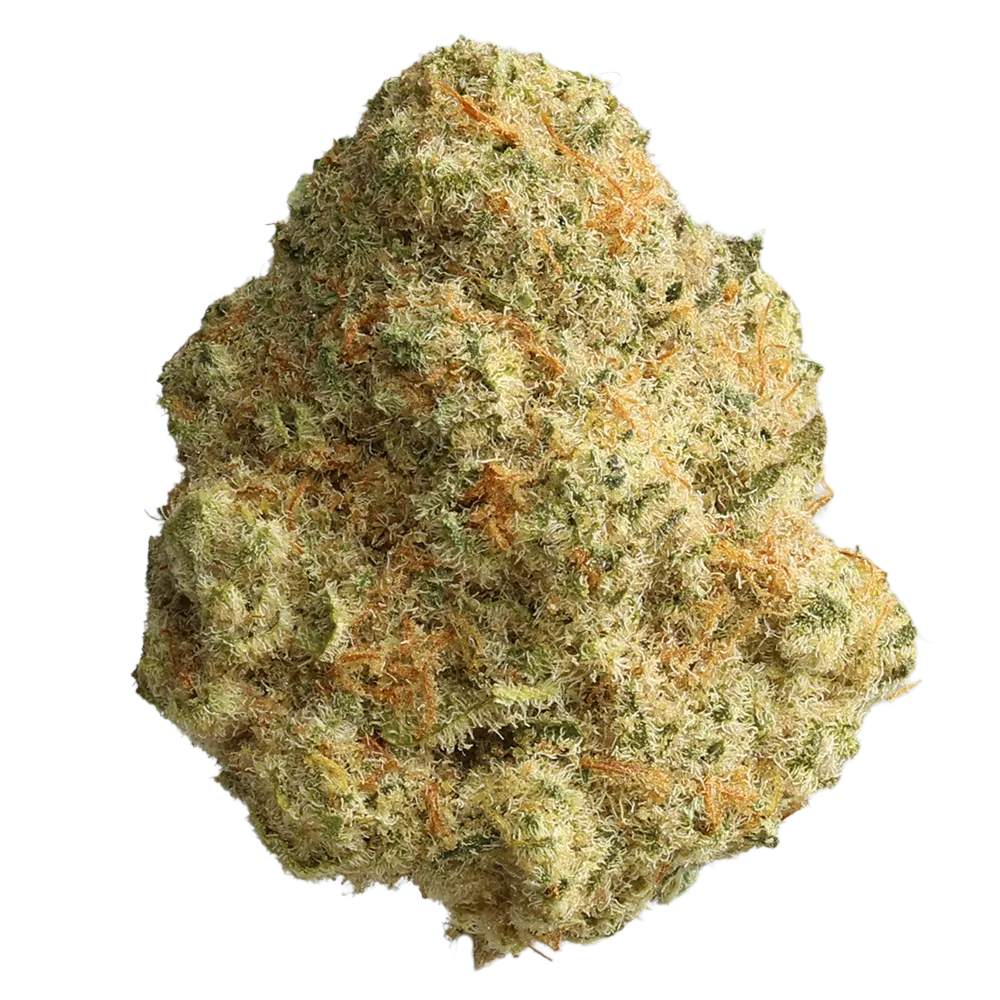 CRQSH GAPs 30/1: Gas Pack smalls