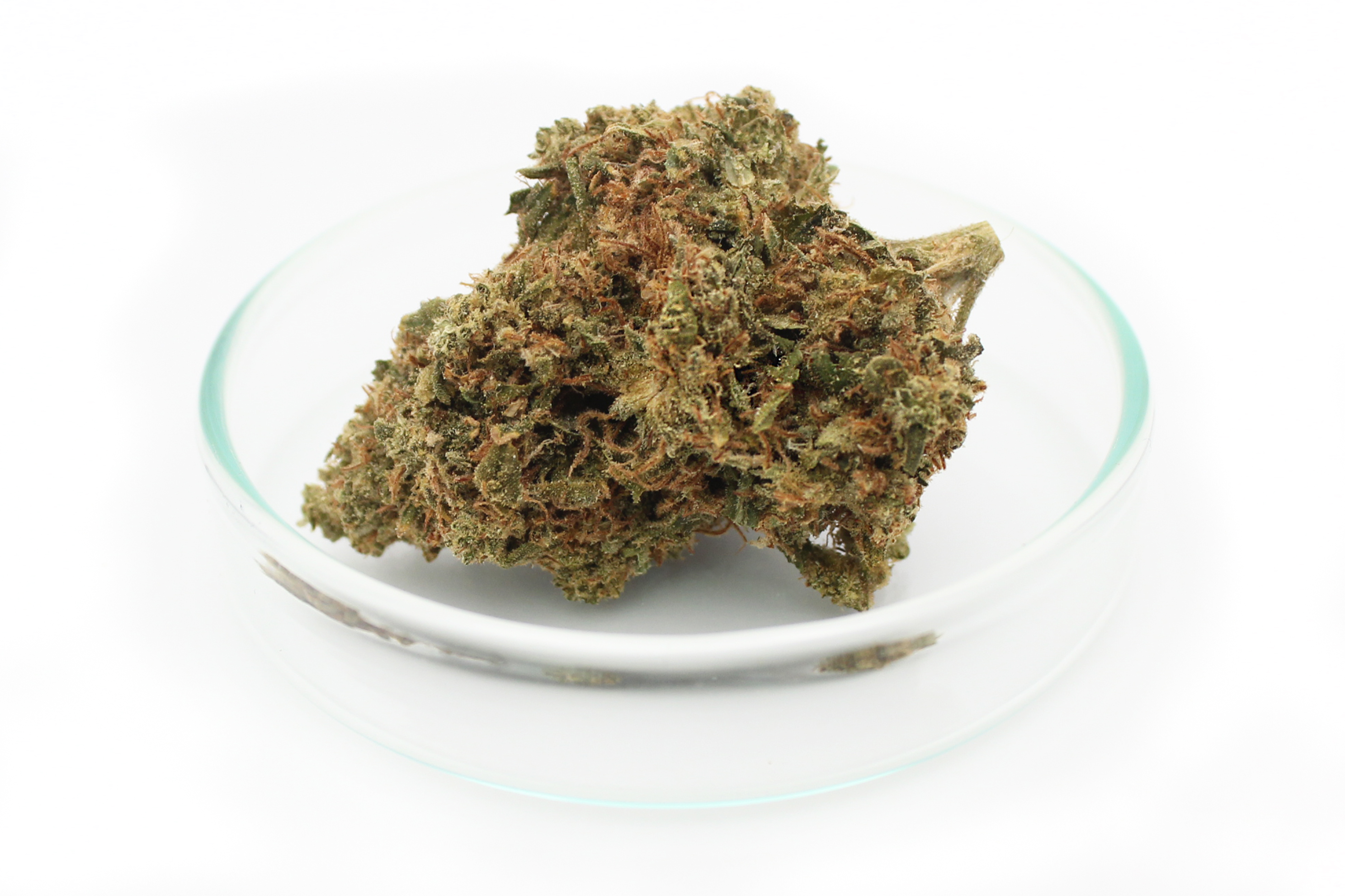 22/1 Vayamed Cannabis flos: Ghost Train Haze