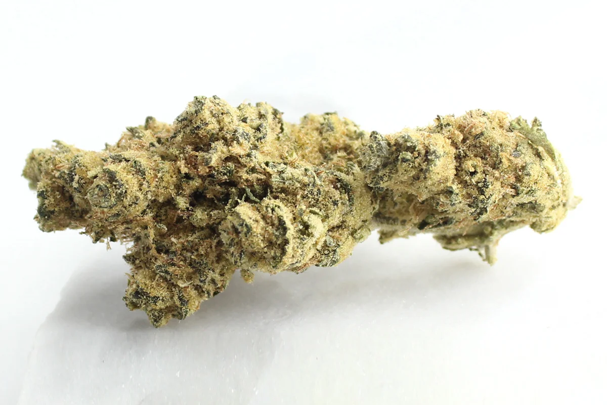 Cansativa Peace Naturals 31/1 GC GMO Cookies