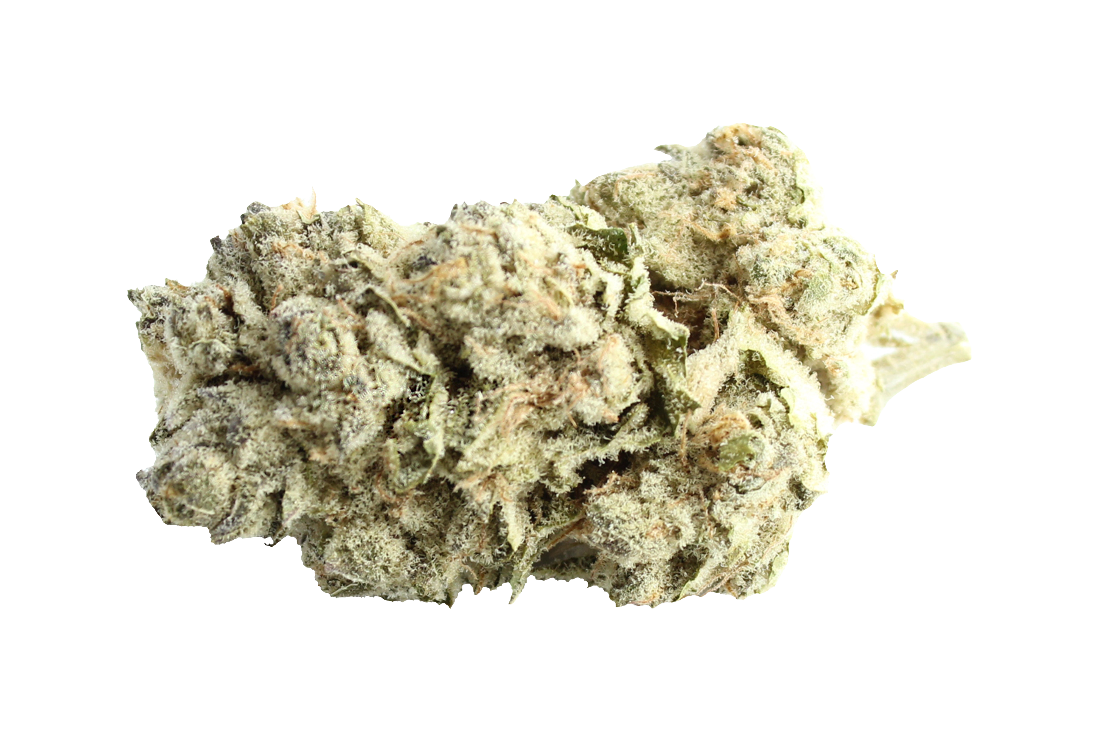 Enua 22/1 BCP CA Black Cherry Punch Cannabisbluete