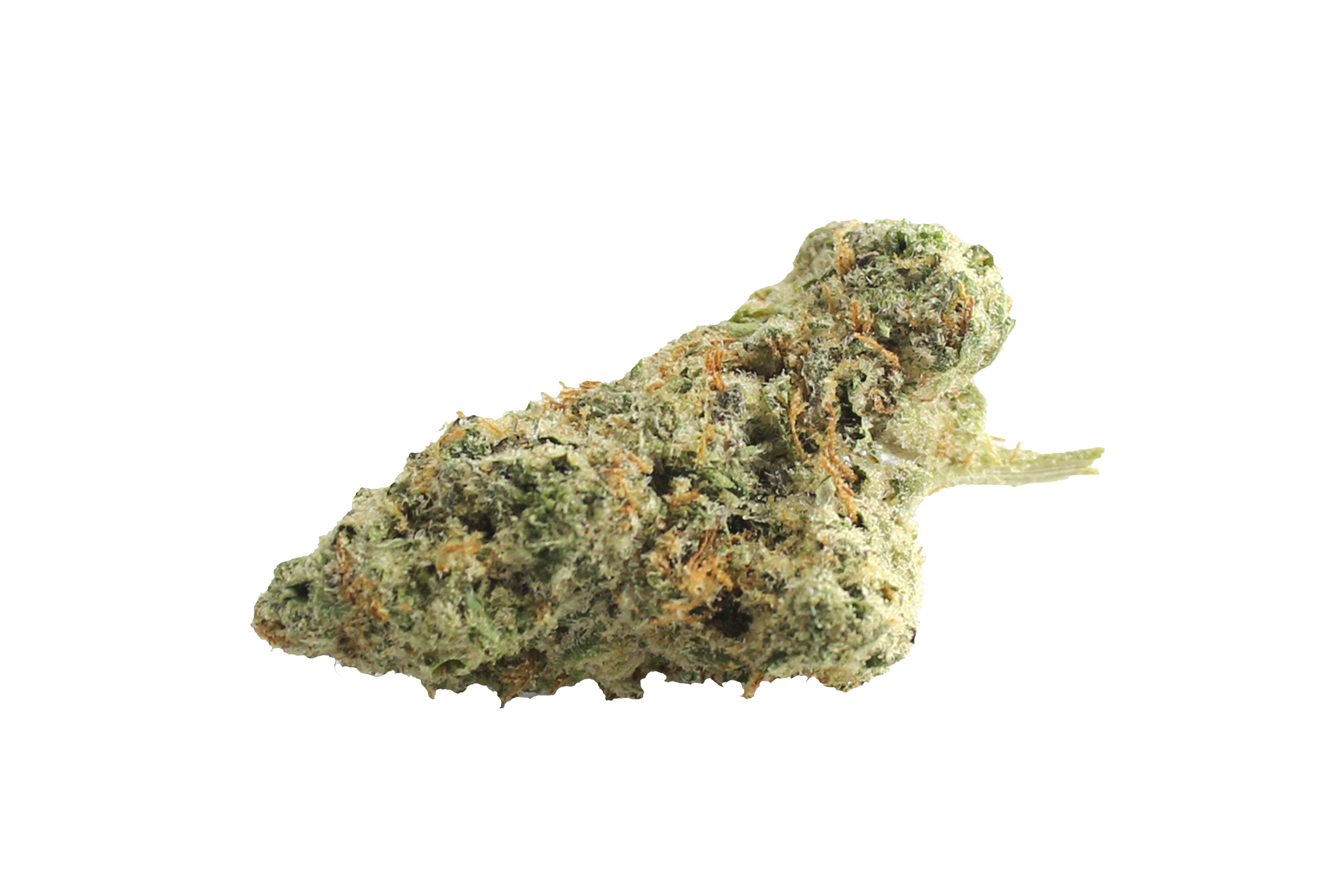 Four20Pharma 420 Evolution 30/1 CA ICC Ice Cream Cake Kush Cannabisbluete