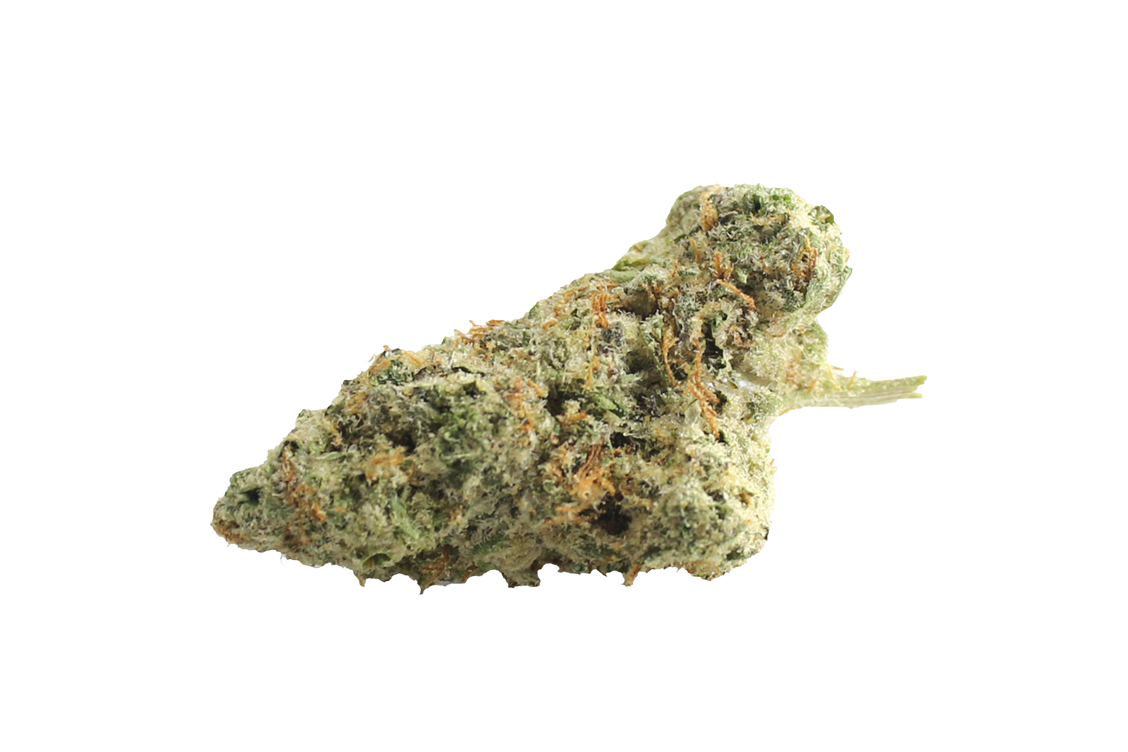 Four20Pharma 420 Evolution 30/1 CA ICC Ice Cream Cake Kush Cannabisbluete