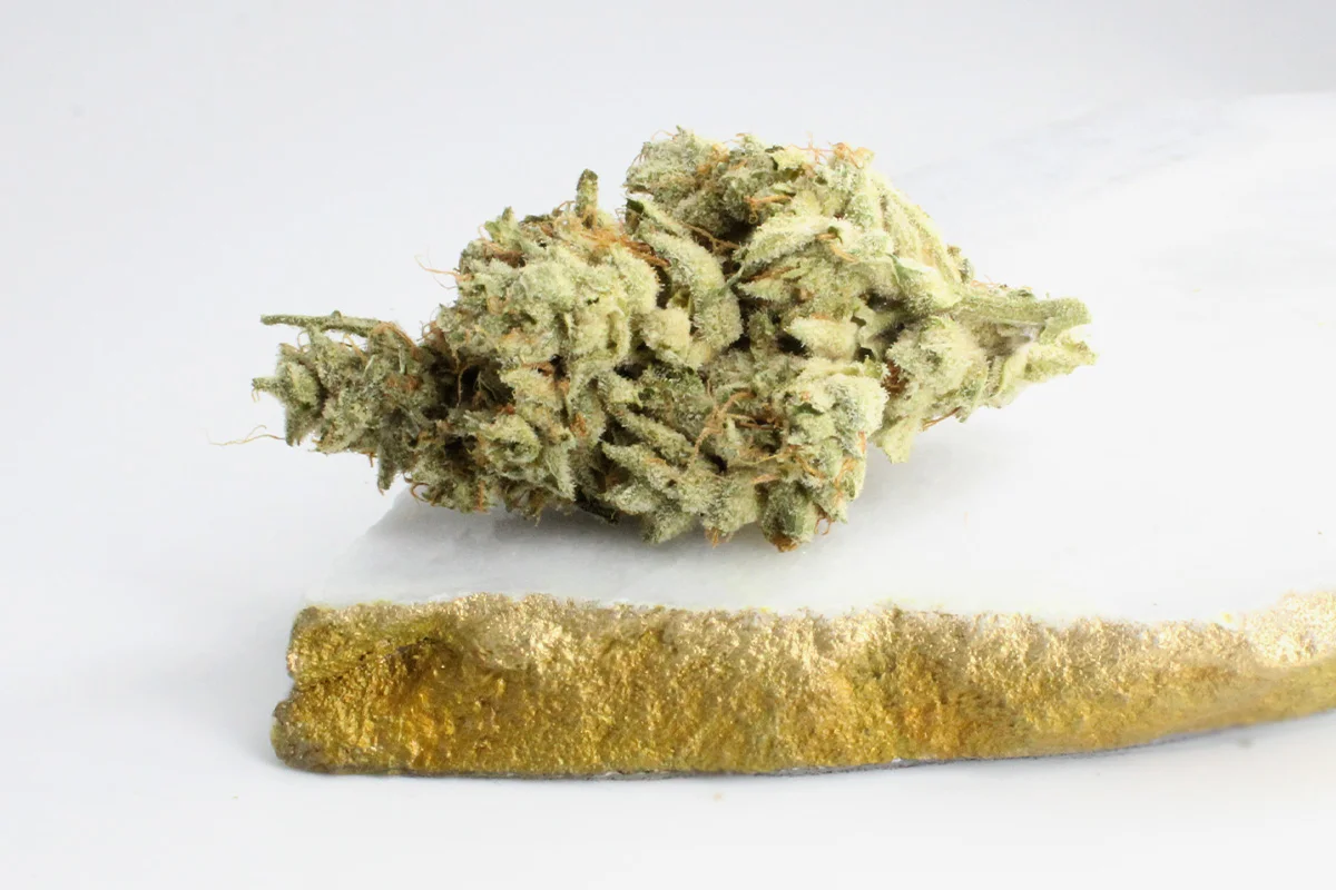 420 Evolution 25 1 CA ICC Ice Cream Cake Kush Mints