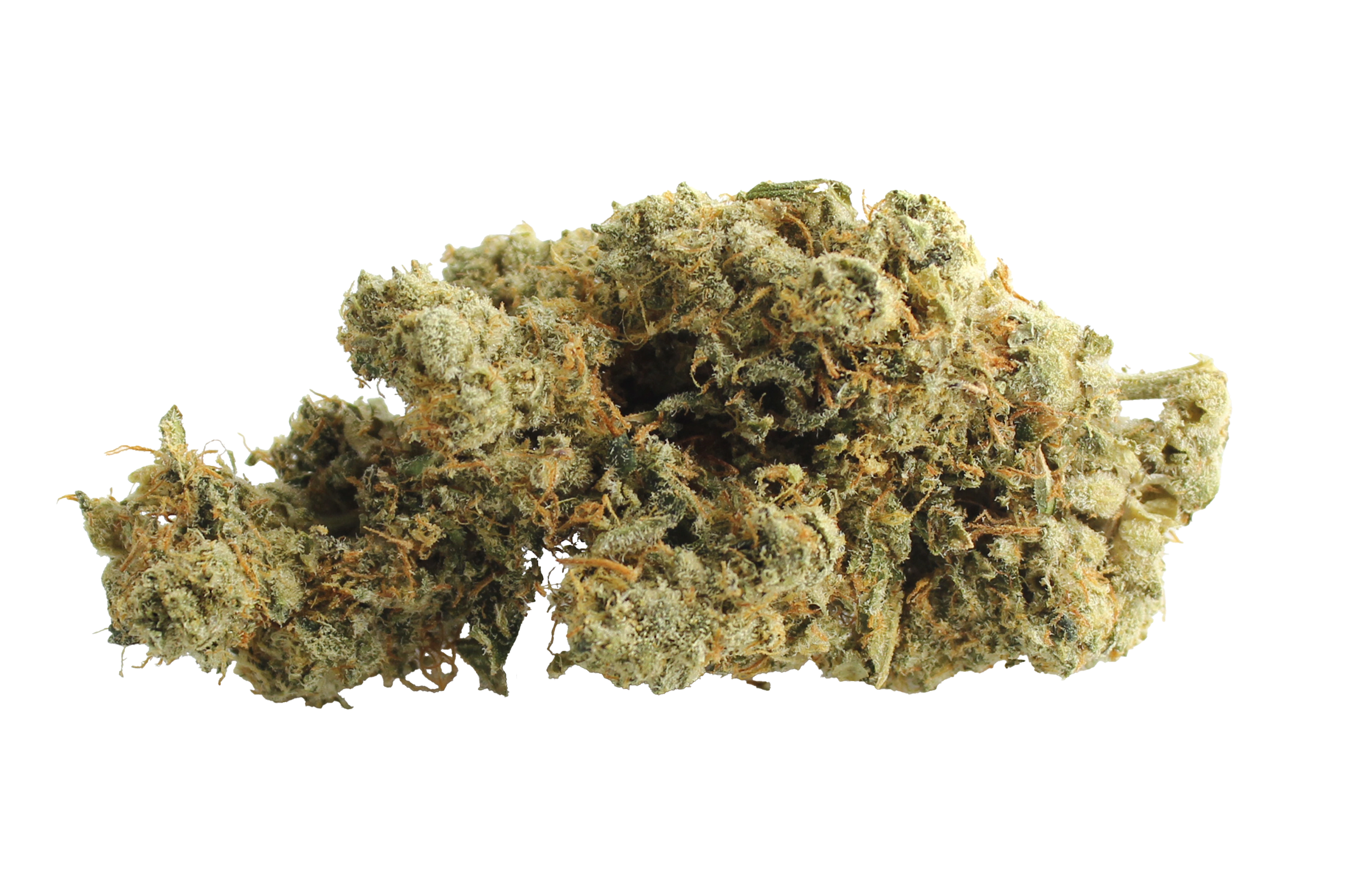 420 Evolution 27/1 CA ICC: Ice Cream Cake Kush Mints Four20Pharma 420 Evolution 27/1 CA ICC Ice Cream Cake Kush Mints Cannabisbluete