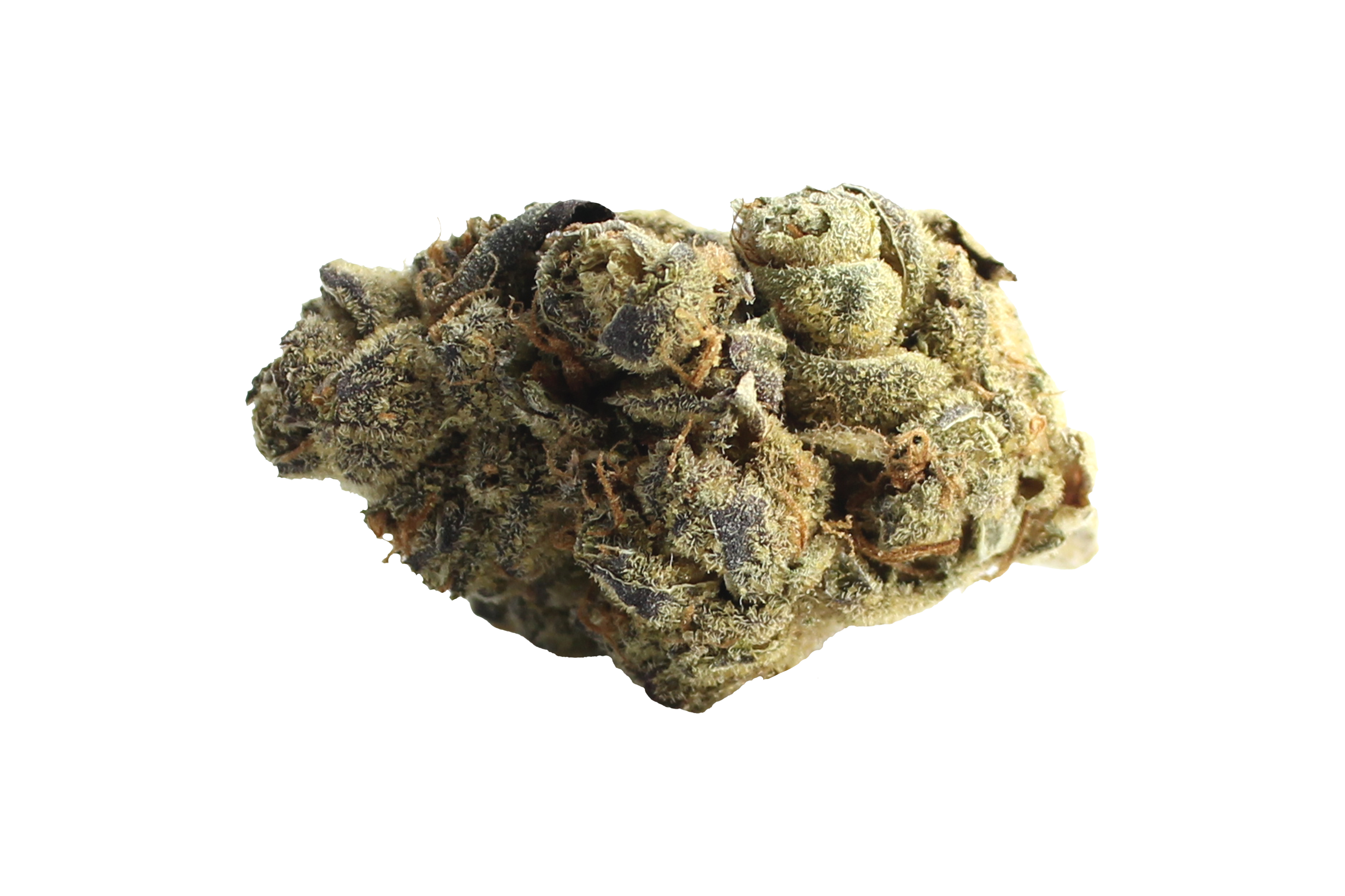 Gruenhorn HGH 27/1 Cannabisbluete