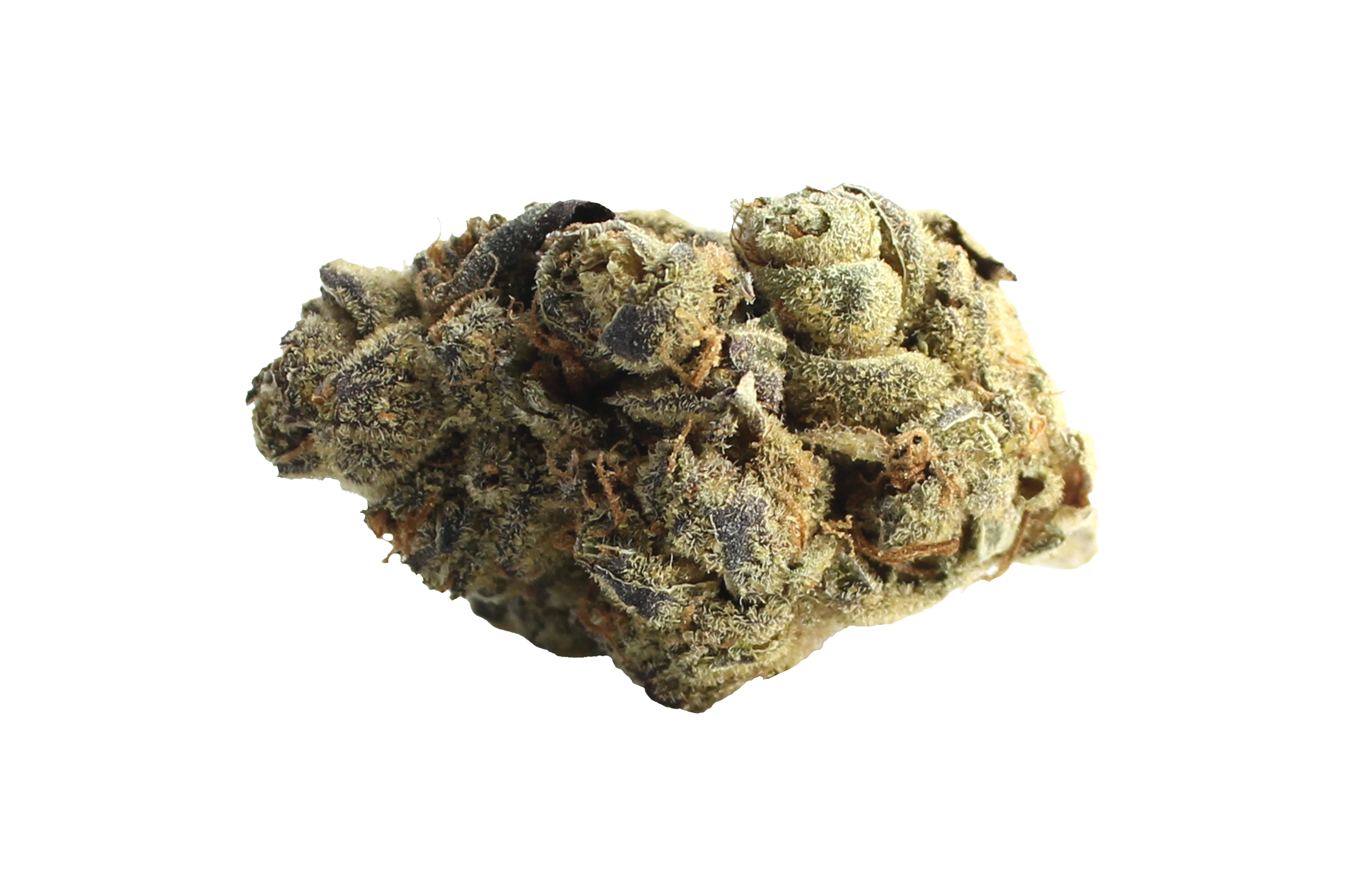 Gruenhorn HGH 27/1 Cannabisbluete