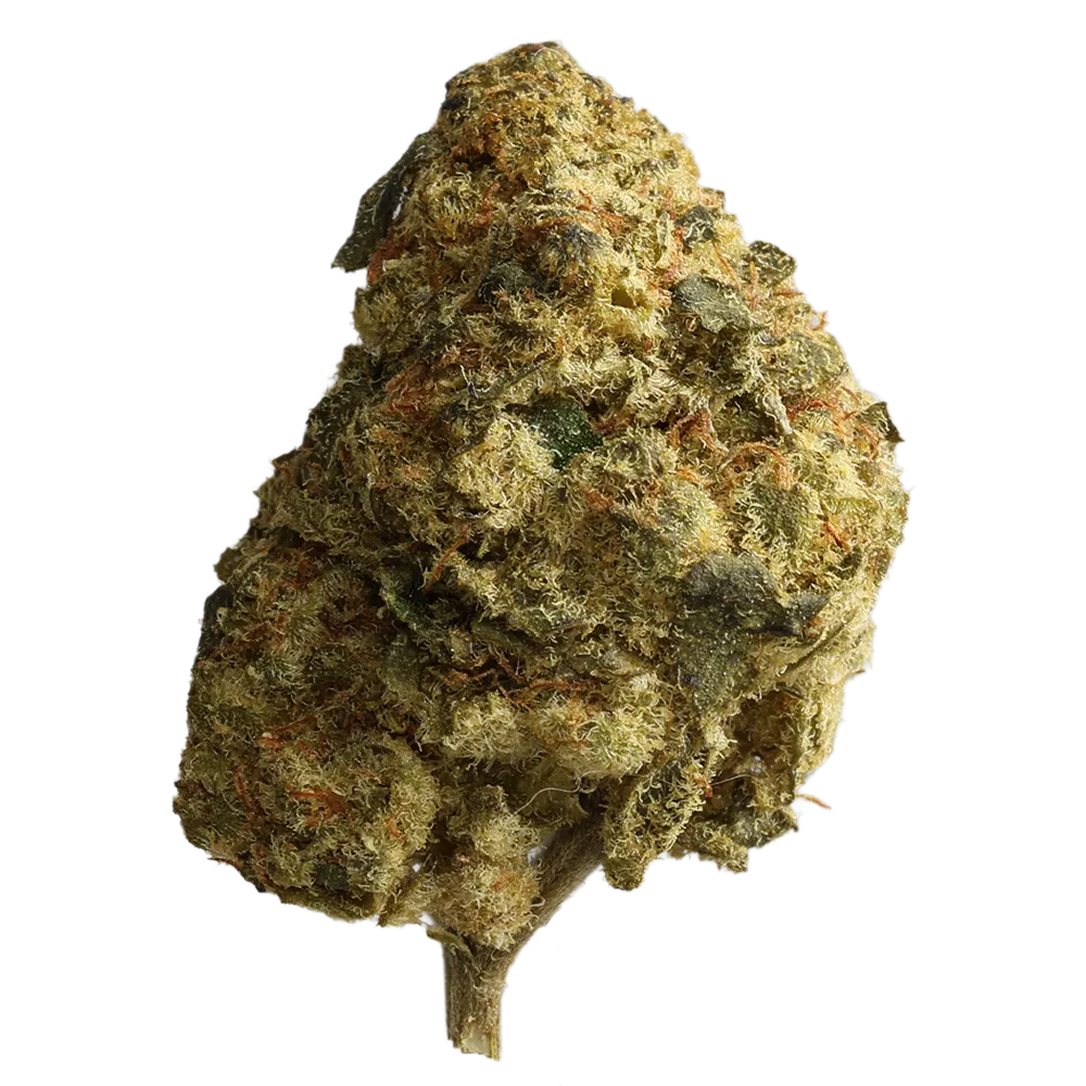 Nordic Zest 25-1- Purple Punch Haze