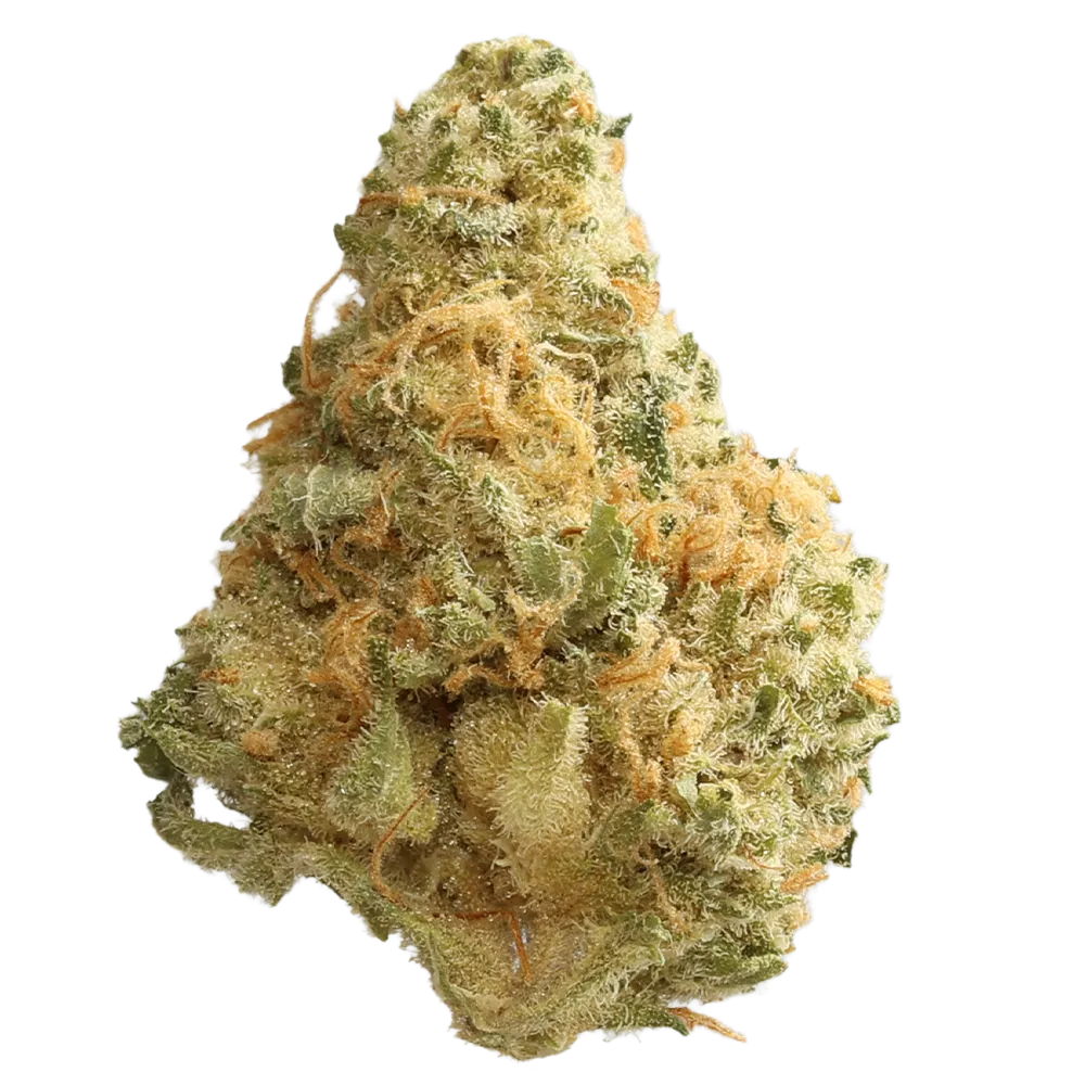 Cannamedical Indica Forte DK Skyberry Kush