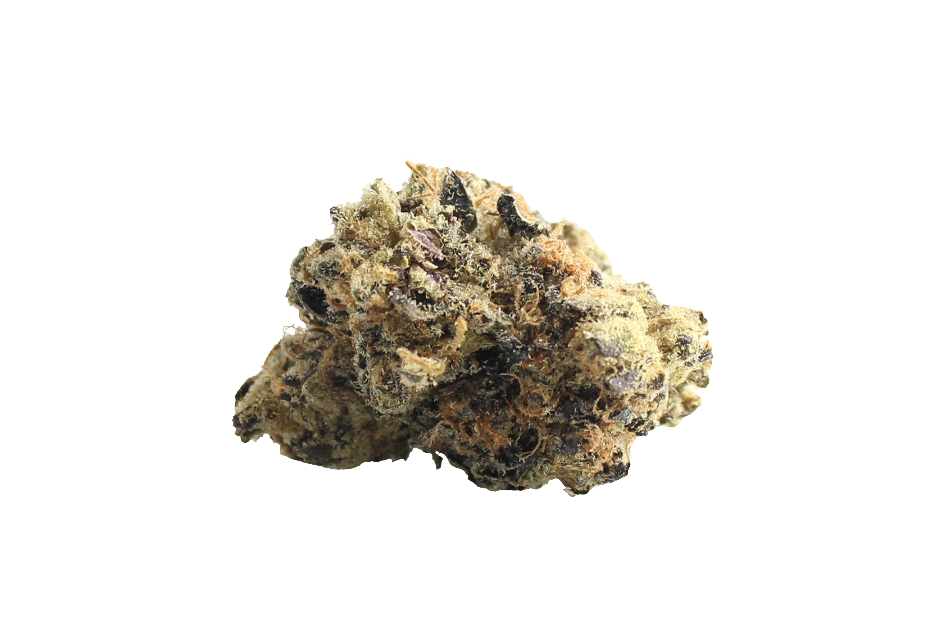 Canify Cannabis Flos 23/1 CND Pink Kush Canify Cannabisbluete