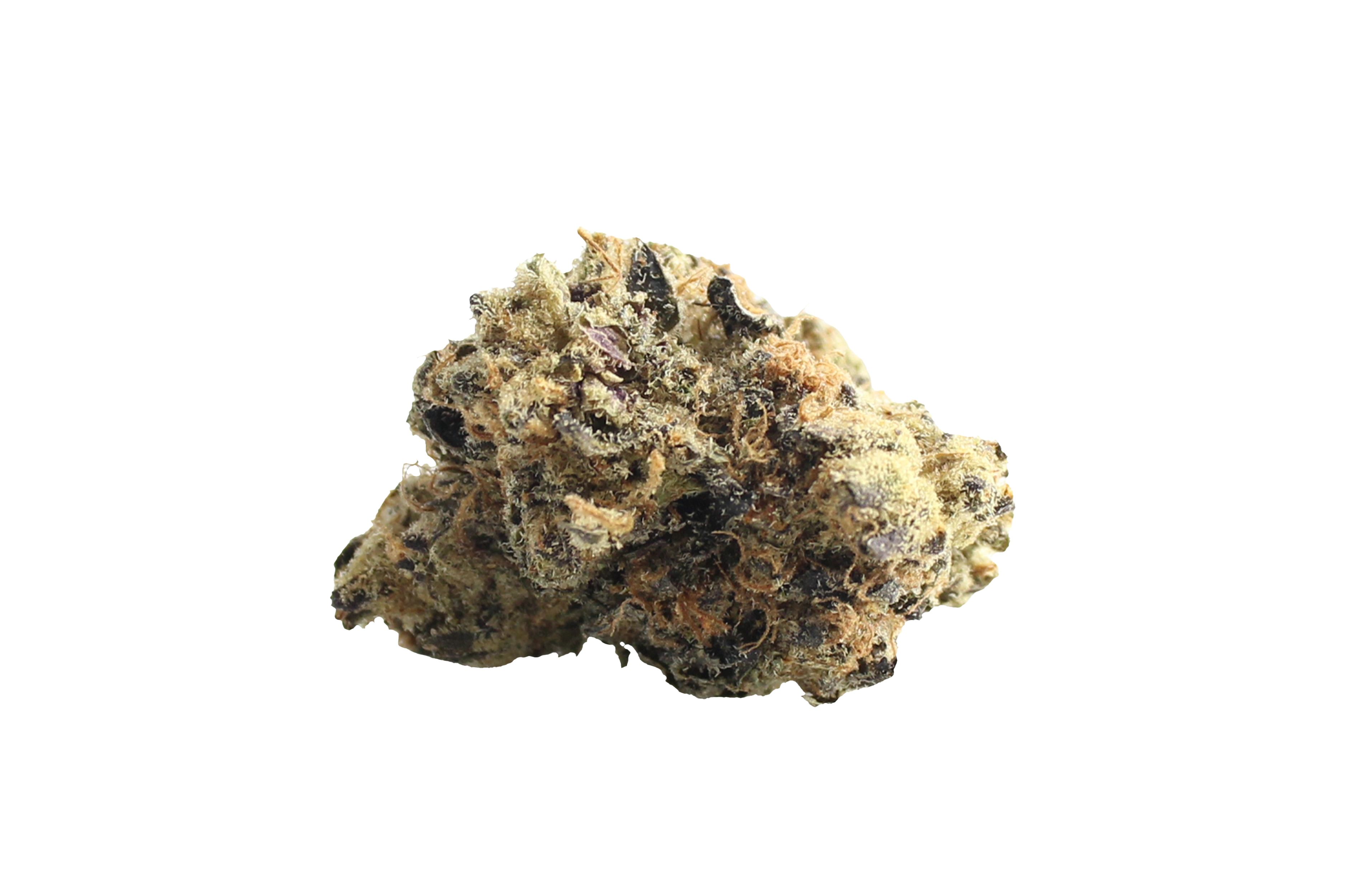 Canify Cannabis Flos 23/1 CND Pink Kush Canify Cannabisbluete