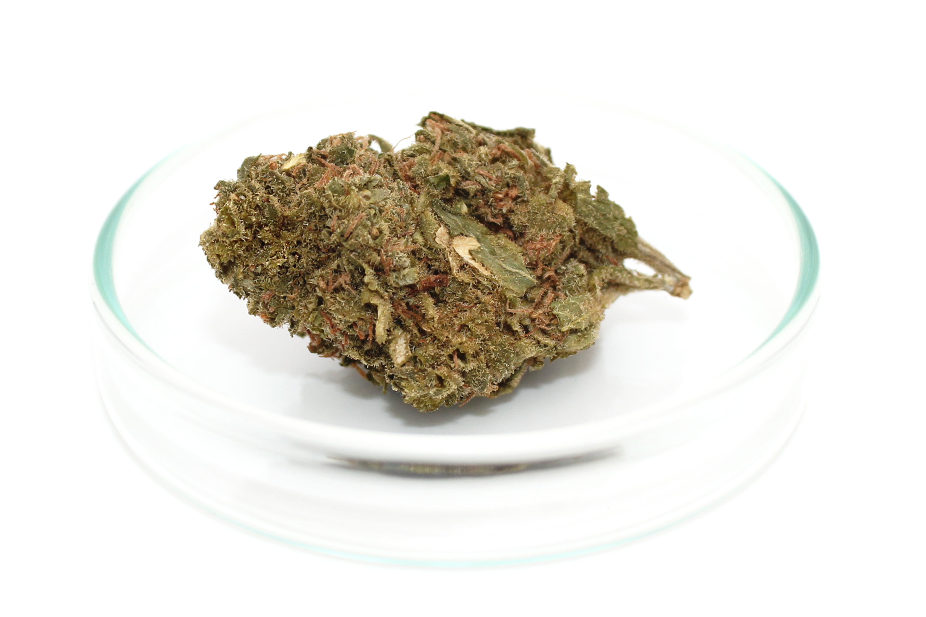 420 Sungrown 22/1 CA ZRP: Zour Apple