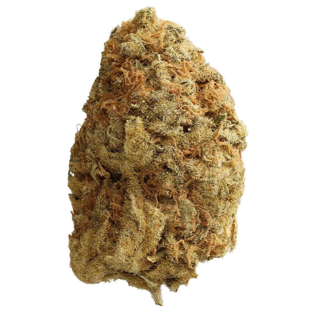 Big Dreams 21/1 ALB OGC OG Cheese