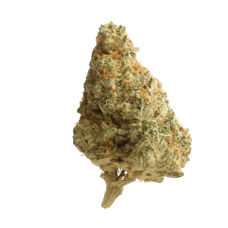 Huala 20/1 CA ALM: Alien Mints