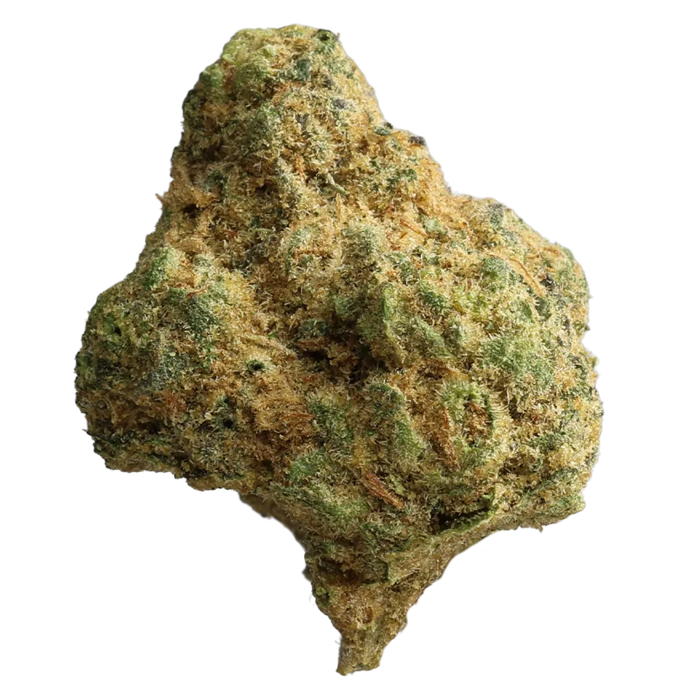 Pedanios 25/1 FLH-CA: Frozen Lemon Haze
