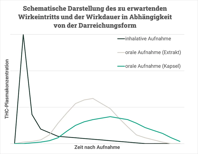 Wirkeintritt_Wirkdauer_von_Cannabis