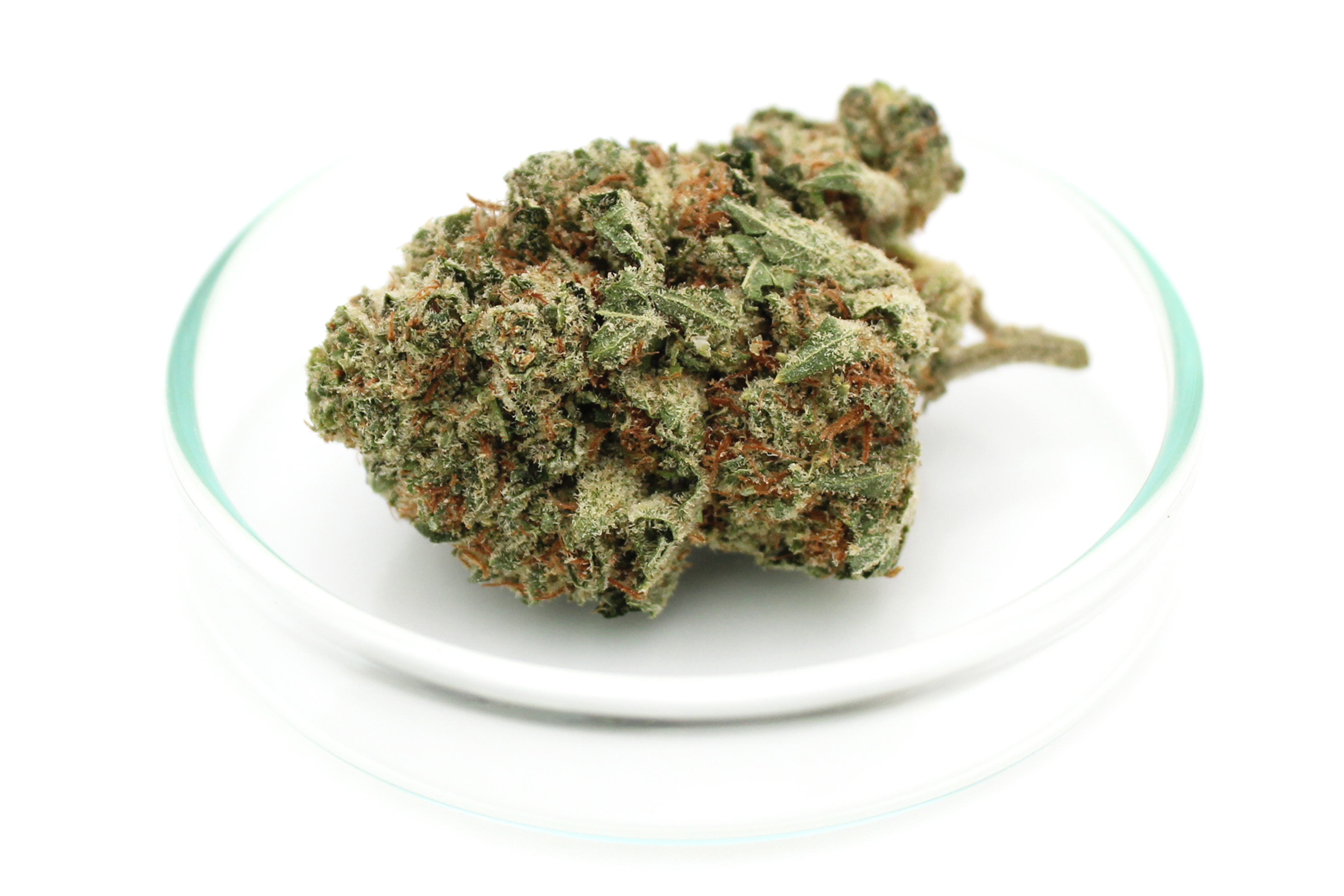Huala 20/1 CA ALM: Alien Mints