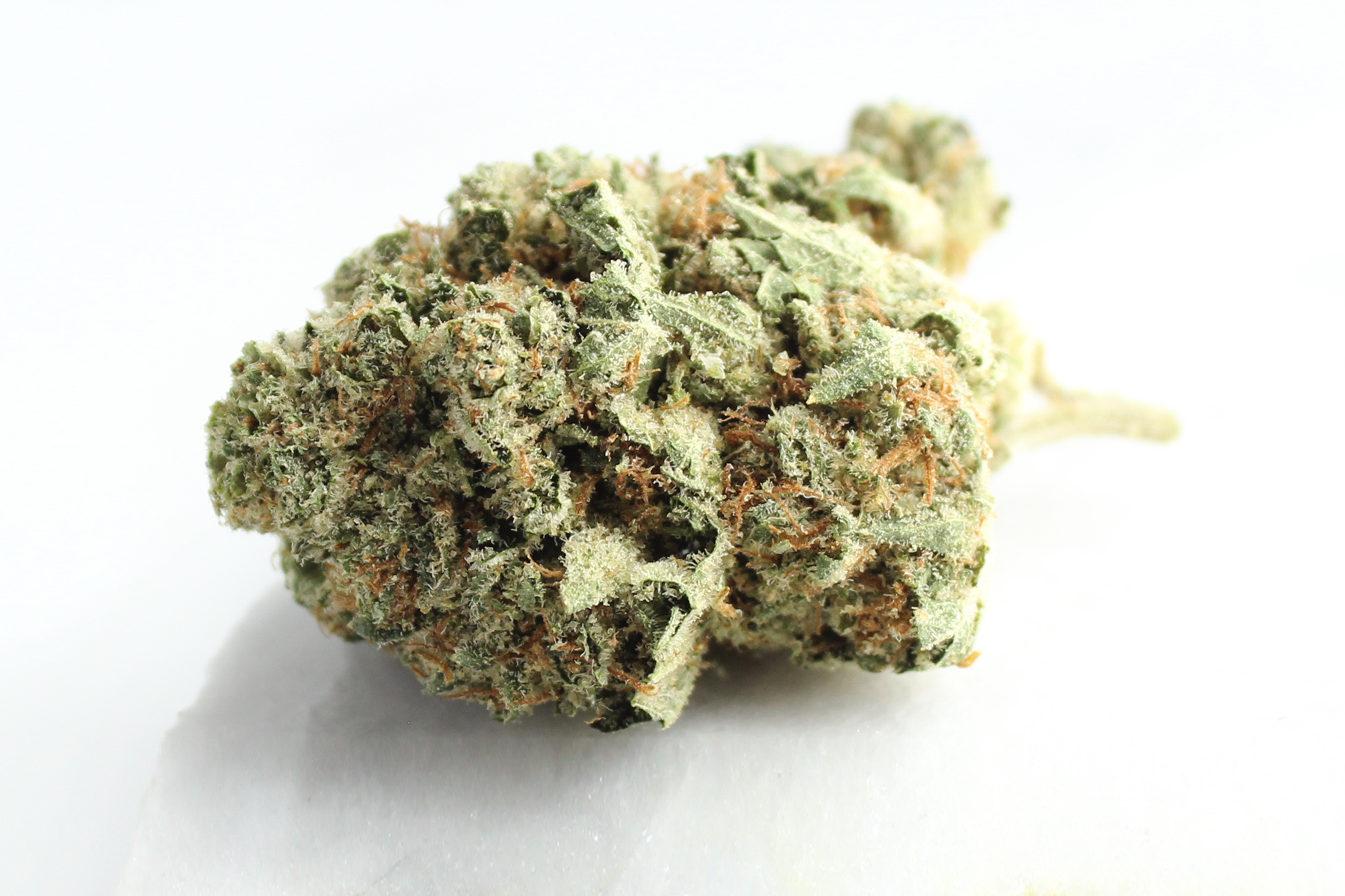 Huala 20/1 CA ALM: Alien Mints