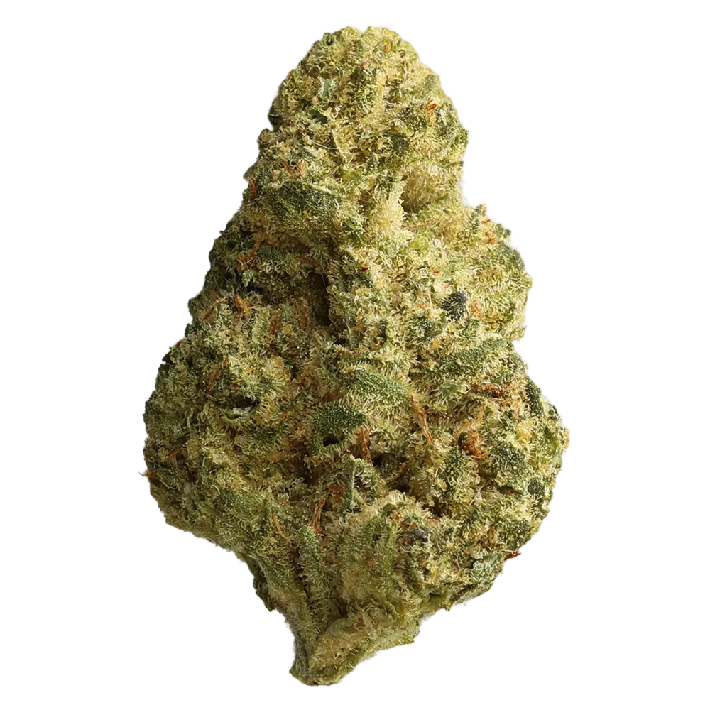 Materia FFC 25-1- Frosted Fruit Cake