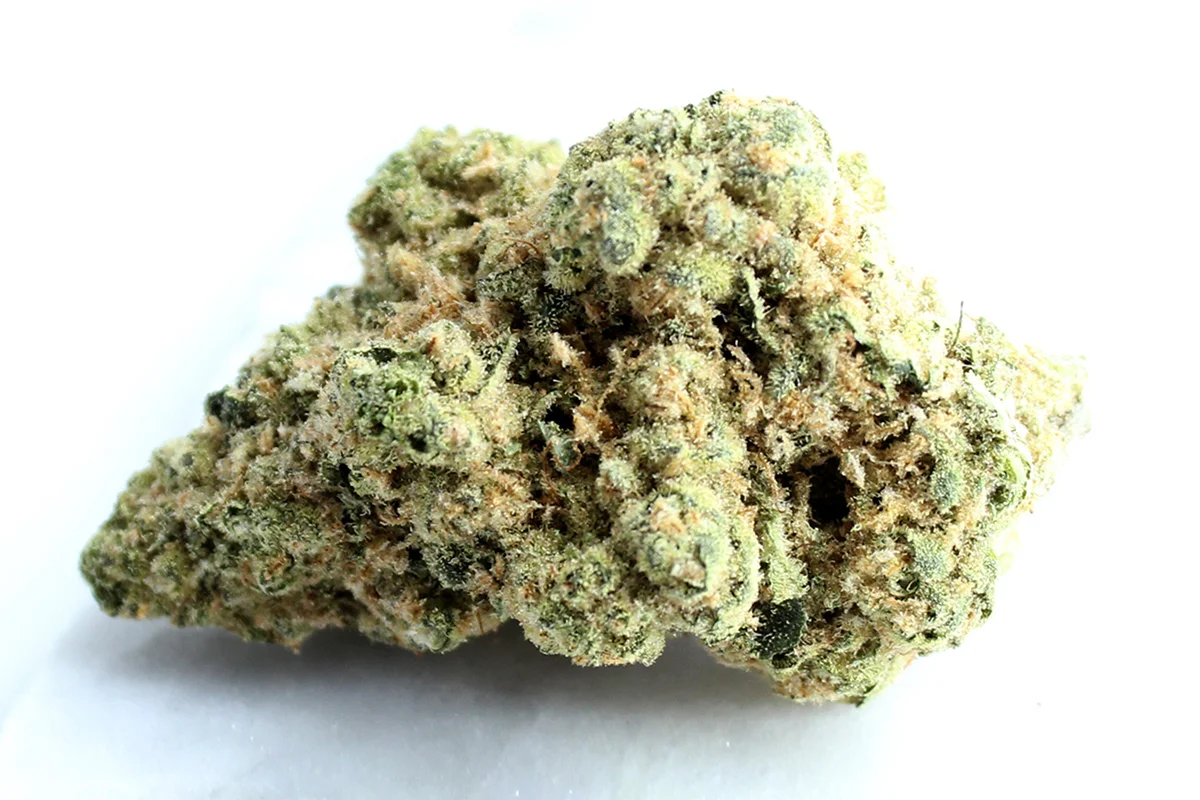 Pedanios 31/1 COS CA Cosmic Cream