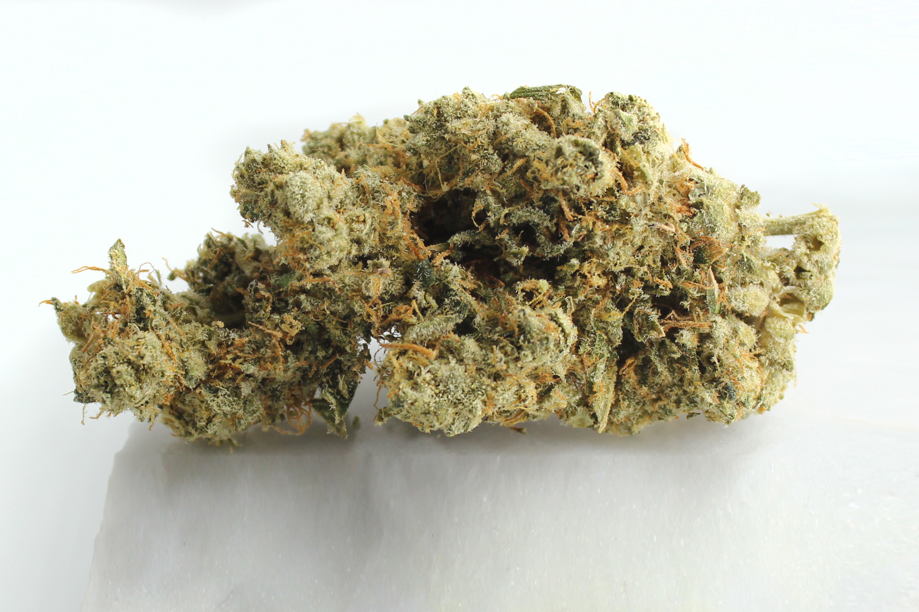 420 Evolution 27/1 CA ICC: Ice Cream Cake Kush Mints