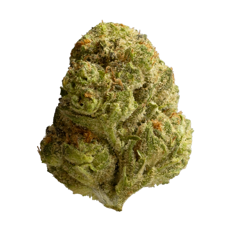 TRUU GT 27:01: Crumbled Lime 27