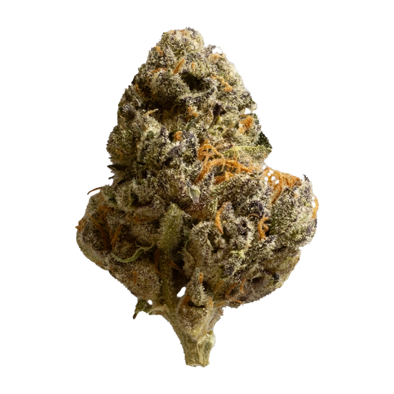 420 Compound 30/1 CA BBW: Bling Blaow