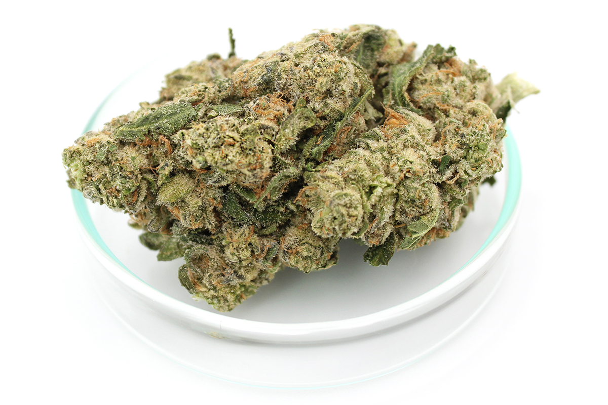 enua 27/1 SBD CA: Strawberry Diesel