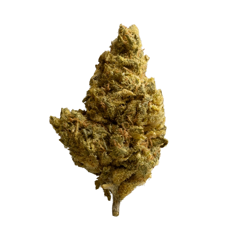 420 Sungrown 20/1 CA ZRP: Zour Apple