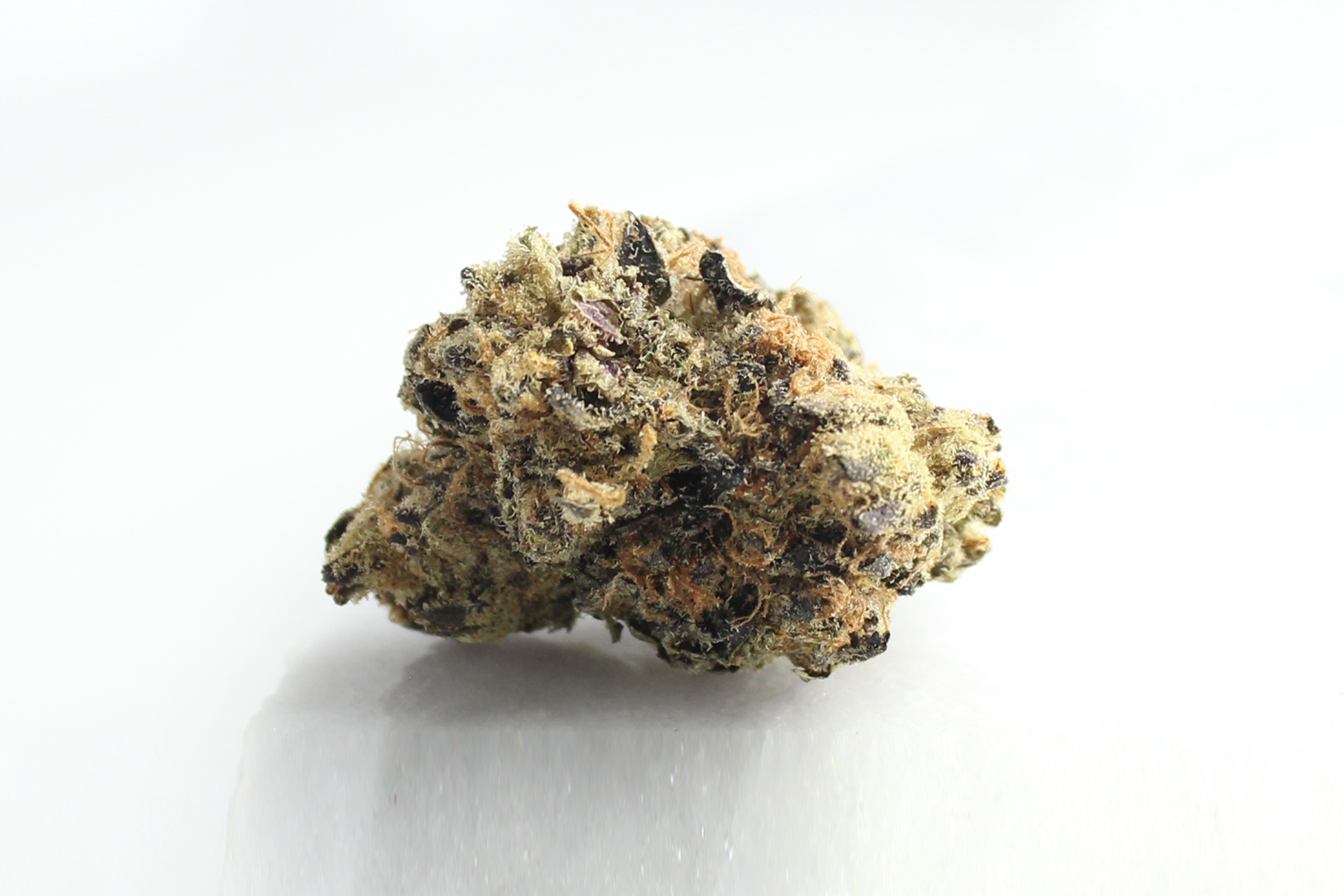 Cannabis flos 23/1 CND Pink Kush Canify