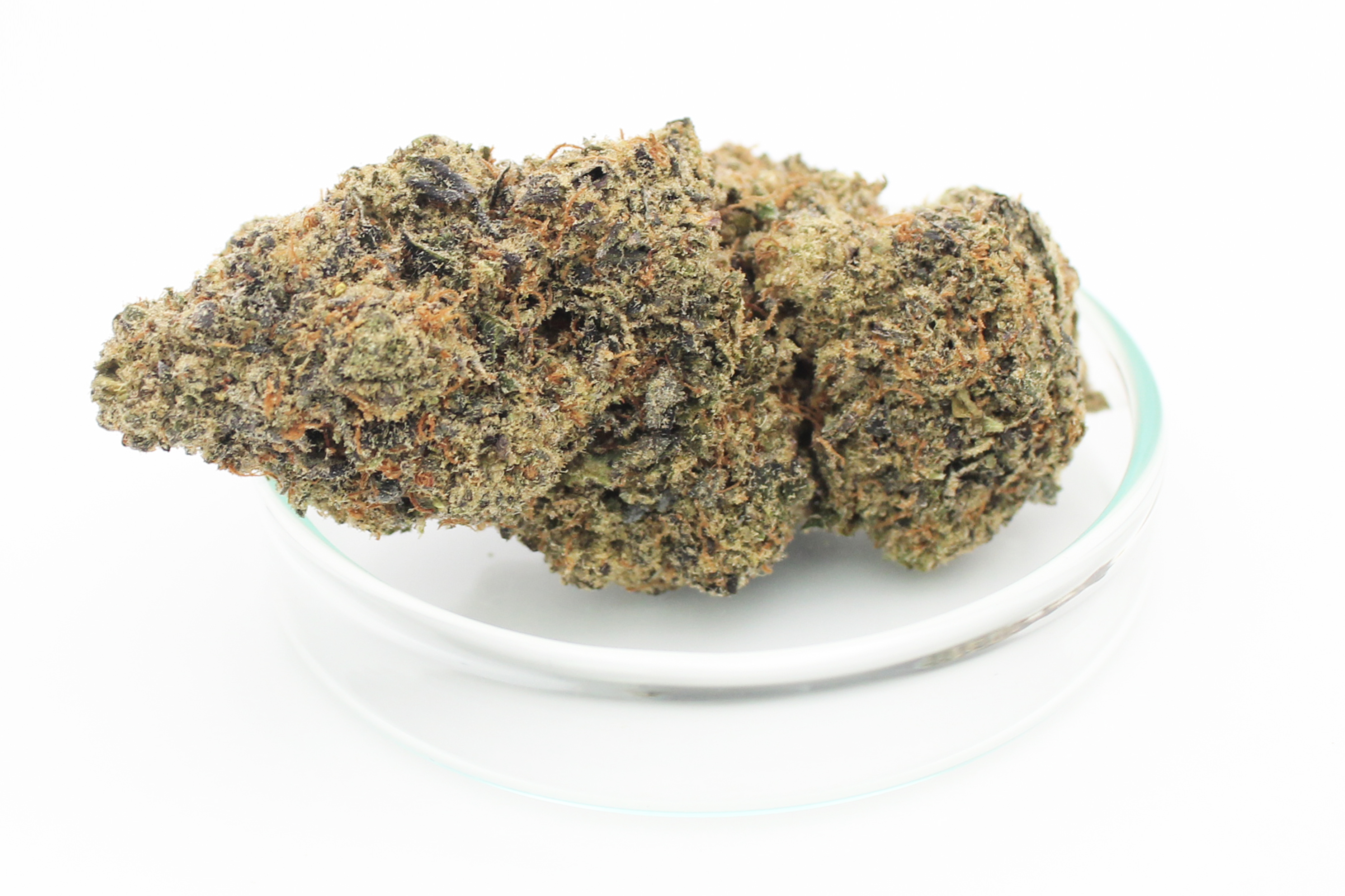 Avaay Signature 25/1 HYP: Hyperion